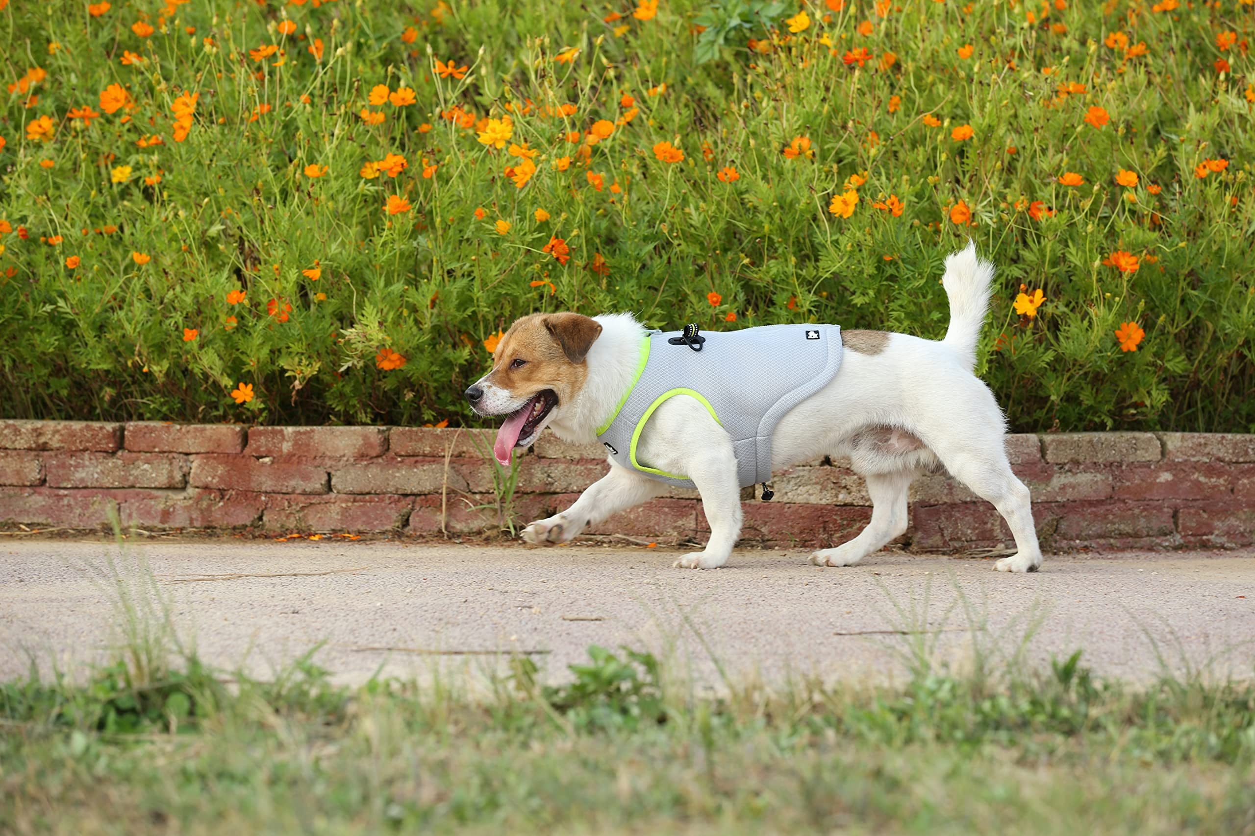 WINHYEPET Harnais Rafraîchissant pour Animaux(Jaune/Gris,S)