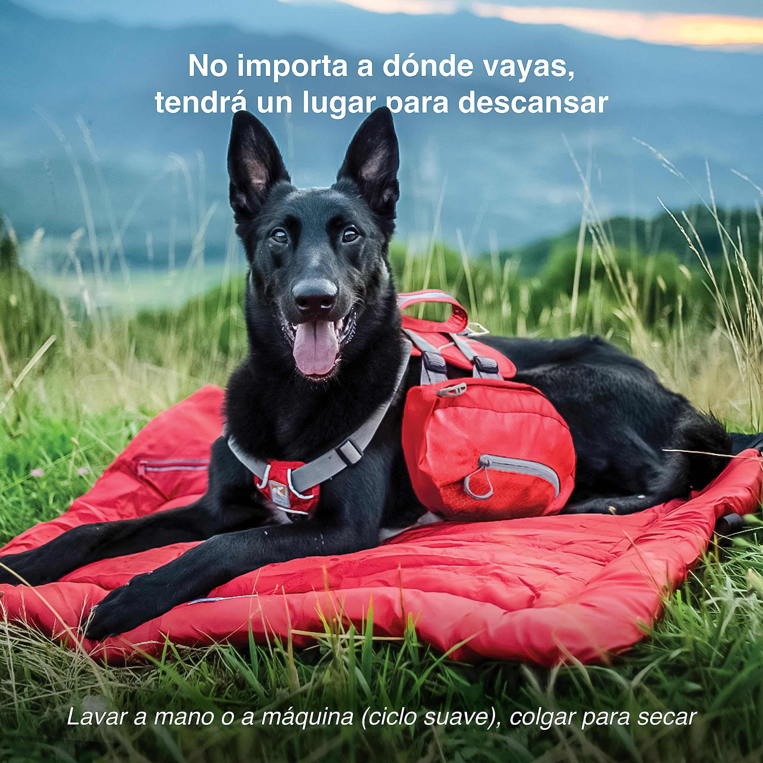 Kurgo Loft Wander Bed - Cama para Perros Grandes, Colchón para Perros, Cama para Mascotas, Cojín Lavable, Base Impermeable, Asa para Transporte – M