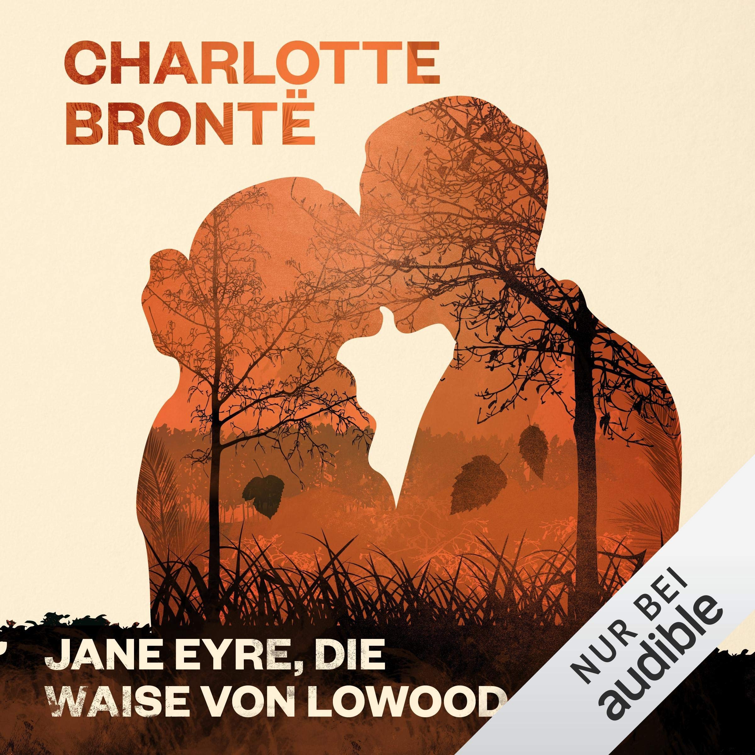 Cover art for Jane Eyre, die Waise von Lowood