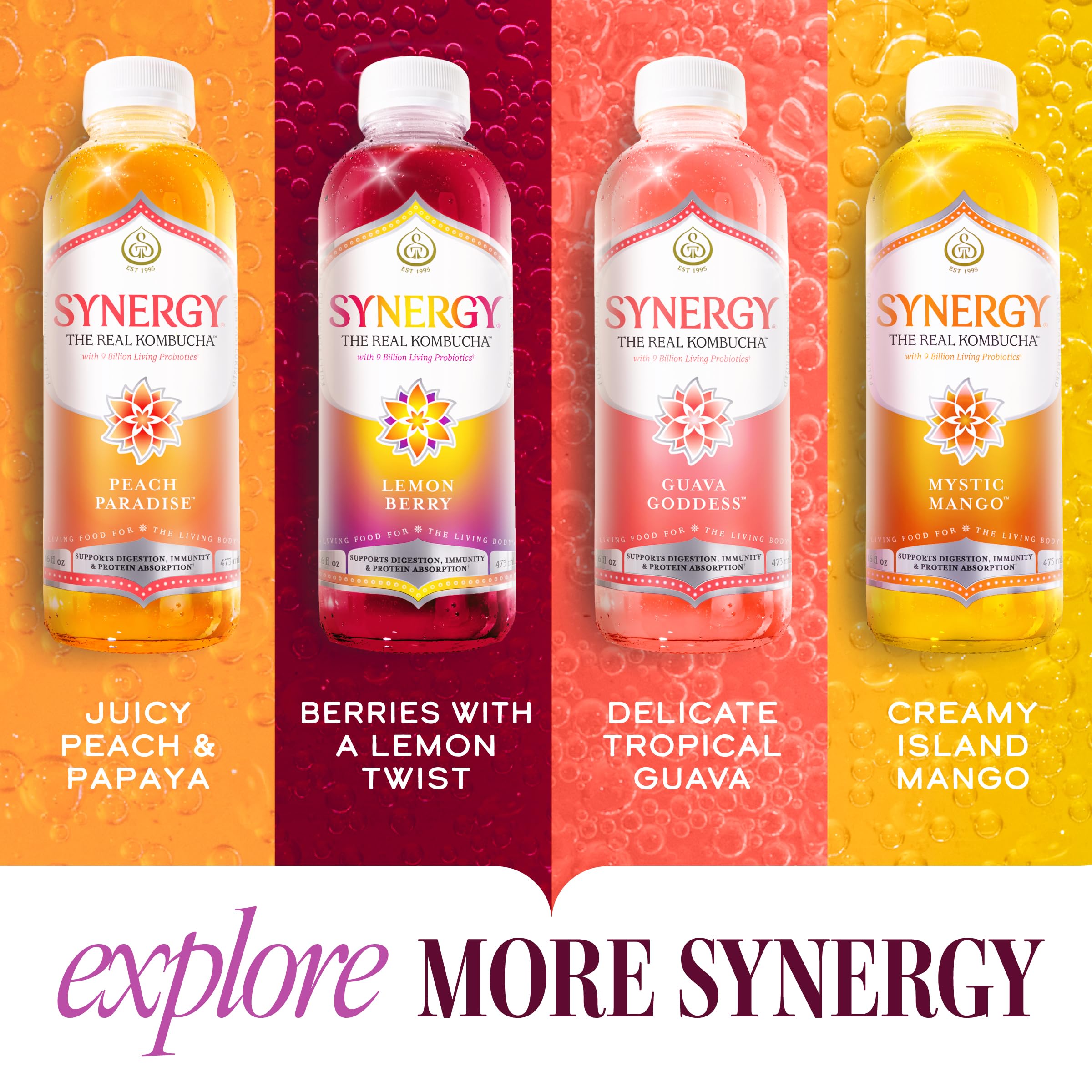 SYNERGY The Real Kombucha - Strawberry Serenity - 16 fl oz Bottle