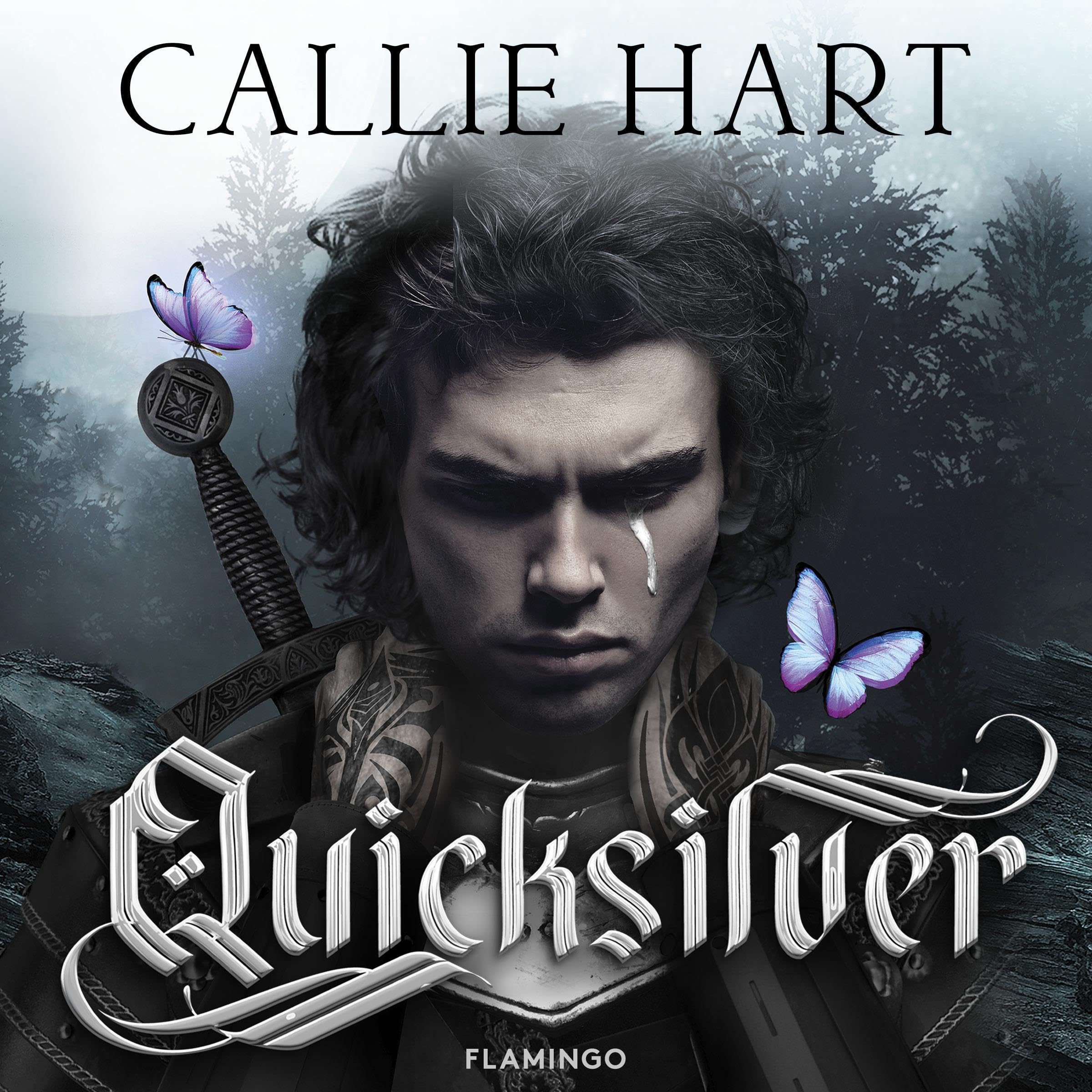 Cover art for Quicksilver (Danish Edition)