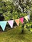 Amazon.com: Shappy 24 Pieces Colorful Pennant Flags Banner Imitated ...