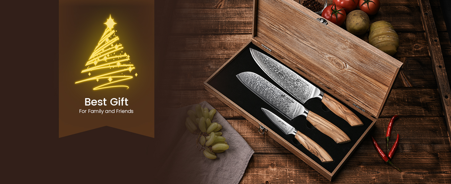 Amazon.com: Emojoy Damascus Kitchen Knife Set, 3 PCS Japanese Chef