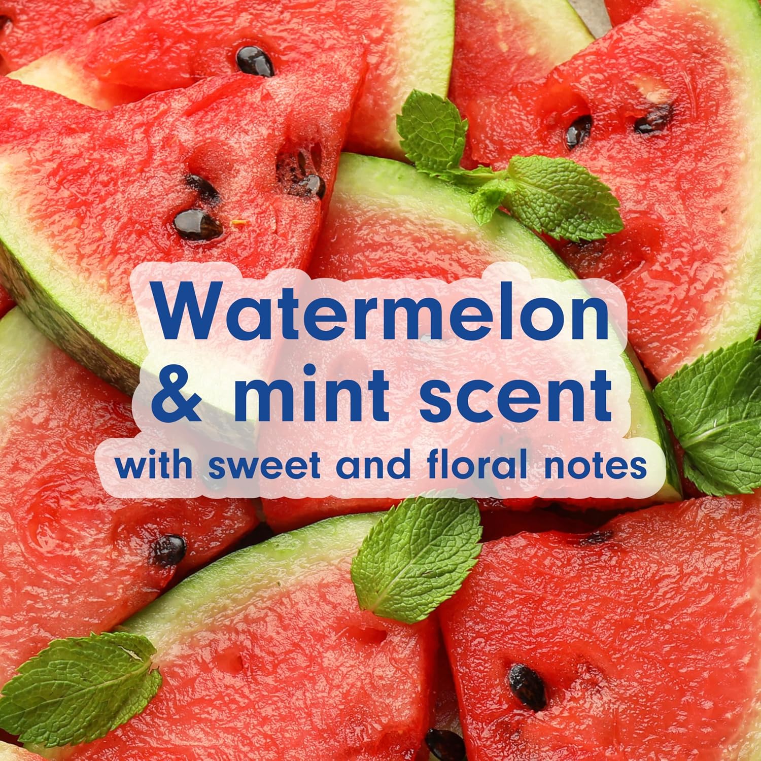 Softsoap Moisturizing Liquid Hand Soap Pump, Watermelon & Mint, 11.25 Ounce, (Pack of 6)