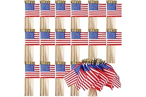 Usa Stick Flags Mini 4x6 Pk of 500