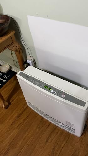 Rinnai FC824N Space Heater with Fan Convector, Natural Gas - Amazon.com