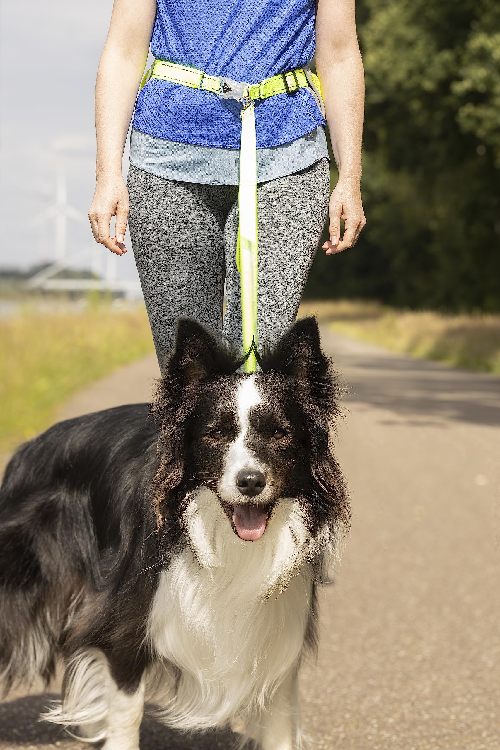 Laisse réfléchissante pour Chien Mains Libres - Laisse 118cm Centure 80-140cm - Chien de Course - Ceinture Réglable pour la Marche - Le Jogging - lumière LED et Bande LED arrière Rechargeable