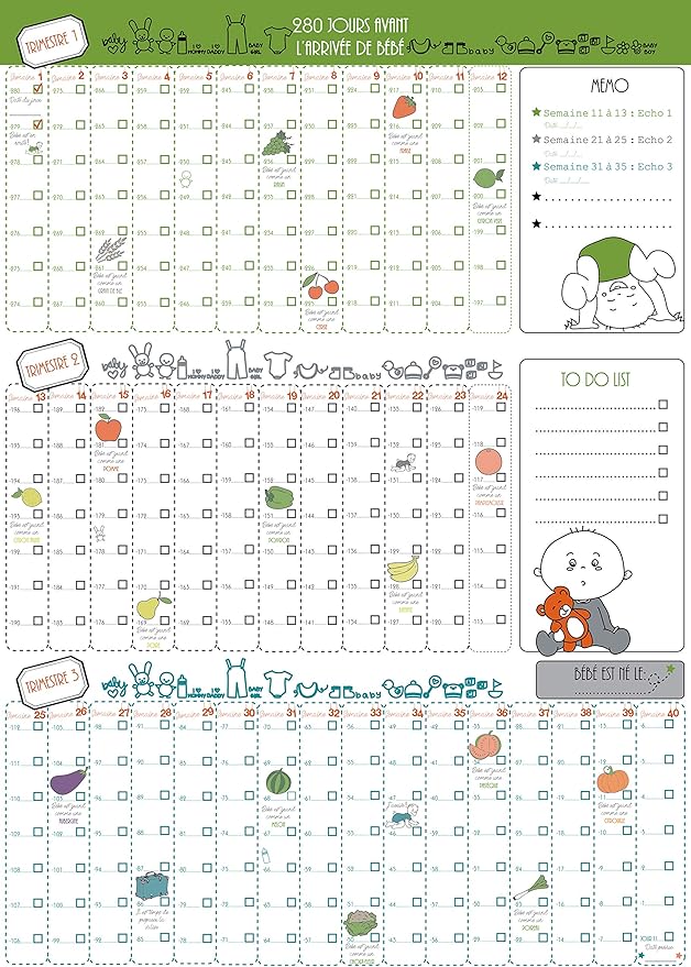 Calendrier Poster 9 Mois Livre De Bord Suivi De Grossesse Jour Apres Jour Multicolore Amazon Fr Fournitures De Bureau