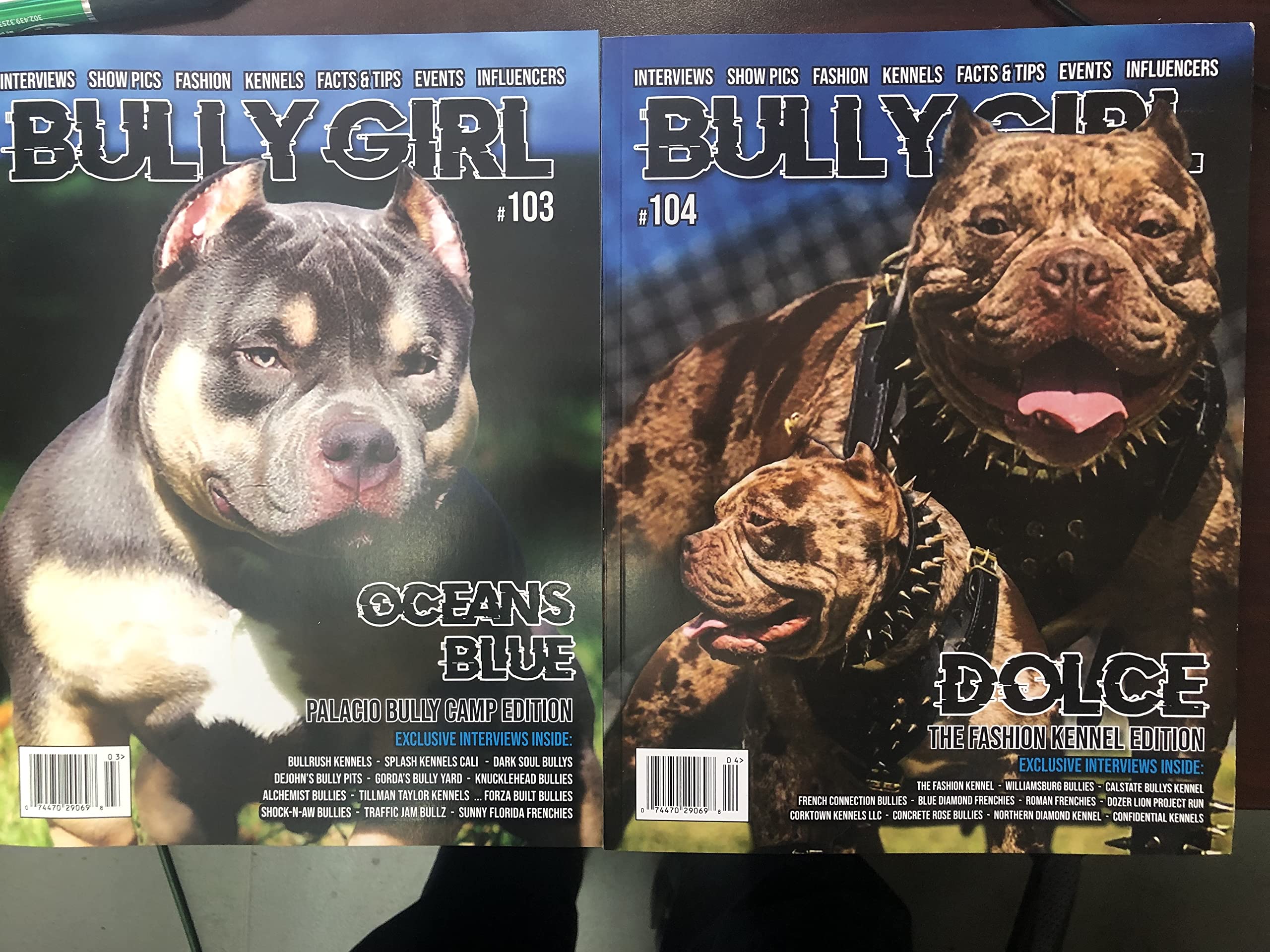 Bully Girl Magazine Issue #103&104
