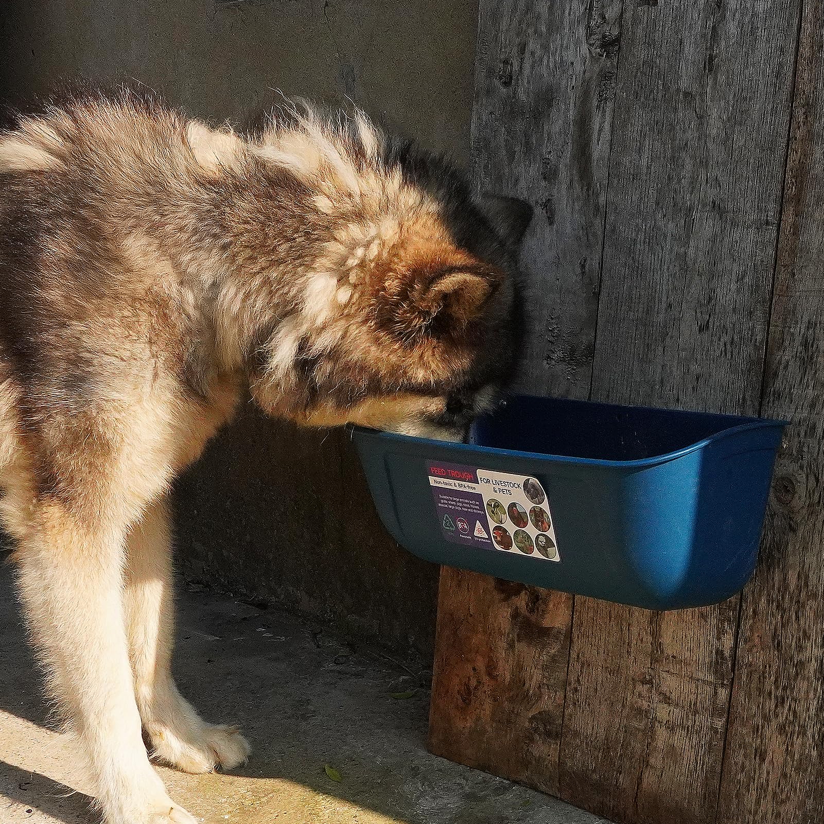 Goovilla Comedero Grande, comedero de Valla Colgante o atornillado con Clips, Paquete de 2 Suministros de alimentación de Cabras de 9 Cuartos de galón, para Perros, Caballos, Cerdos, Ganado, Aves de
