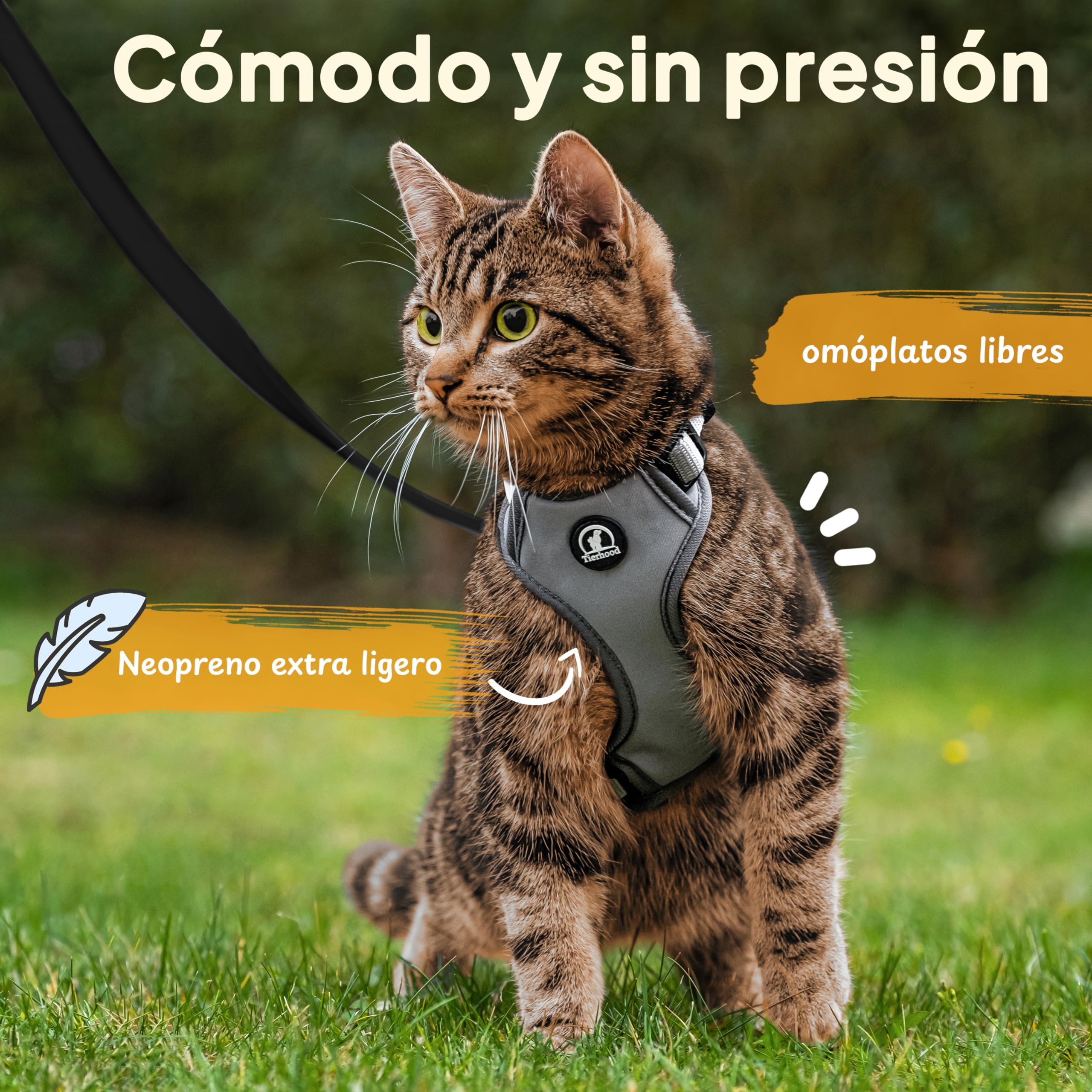 Arnés Para Gatos Antiescape - Correa Ajustable, Reflectante - Para Maine Coon, Persa Y Gatos Pequeños (Gris)