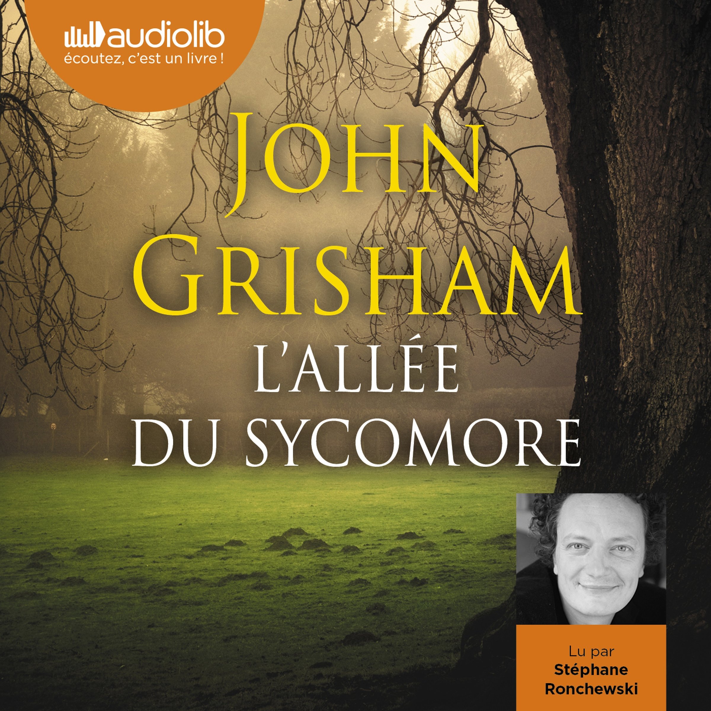 Cover art for L'Allée du sycomore
