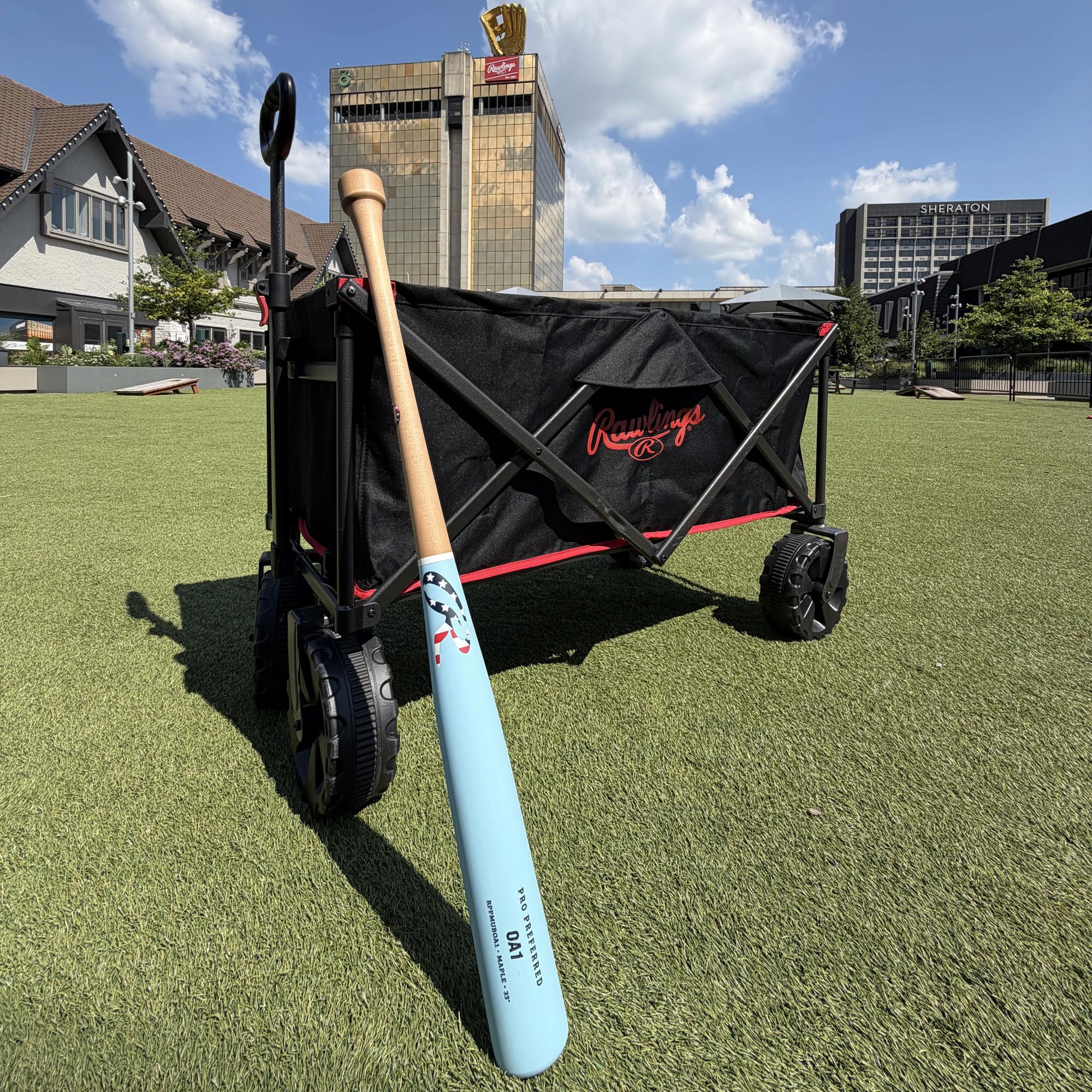 Rawlings Bate de béisbol de madera de arce preferido PRO | 31 pulgadas