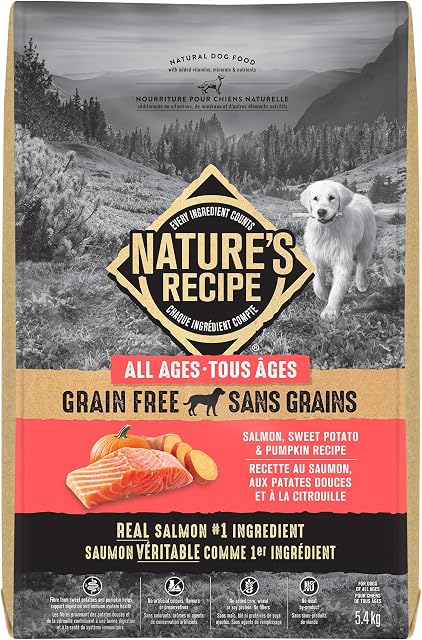 Nature's Recipe Nourriture Naturelle Sans Céréales pour Chiens Saumon, Patate Douce & Recette Citrouille 5,4 kg (Paquet de 1)