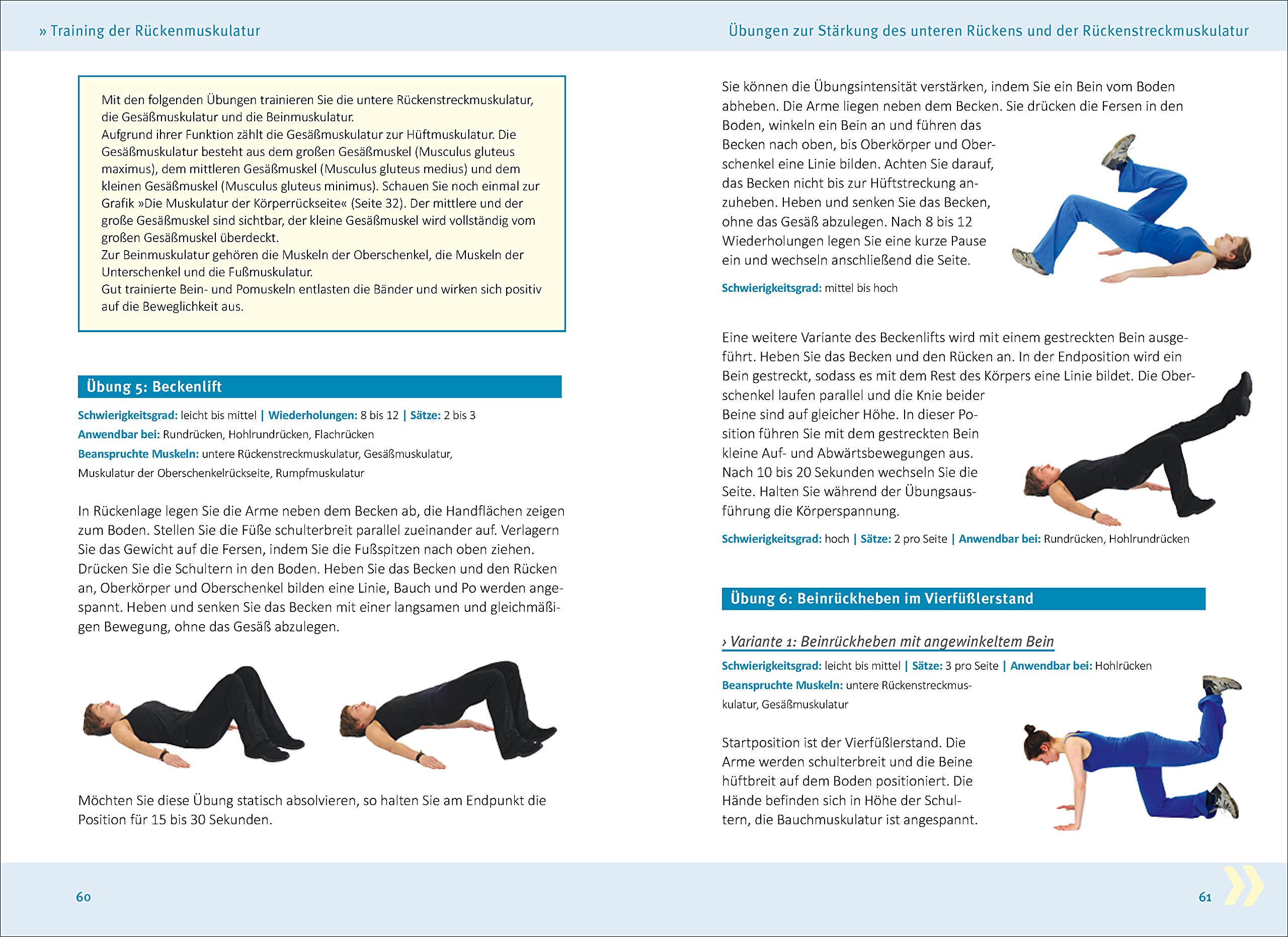 Rückenfit & Kreuzfidel: Das Training für Rücken und aufrechte Körperhaltung (Trainingsreihe von Ronald Thomschke)