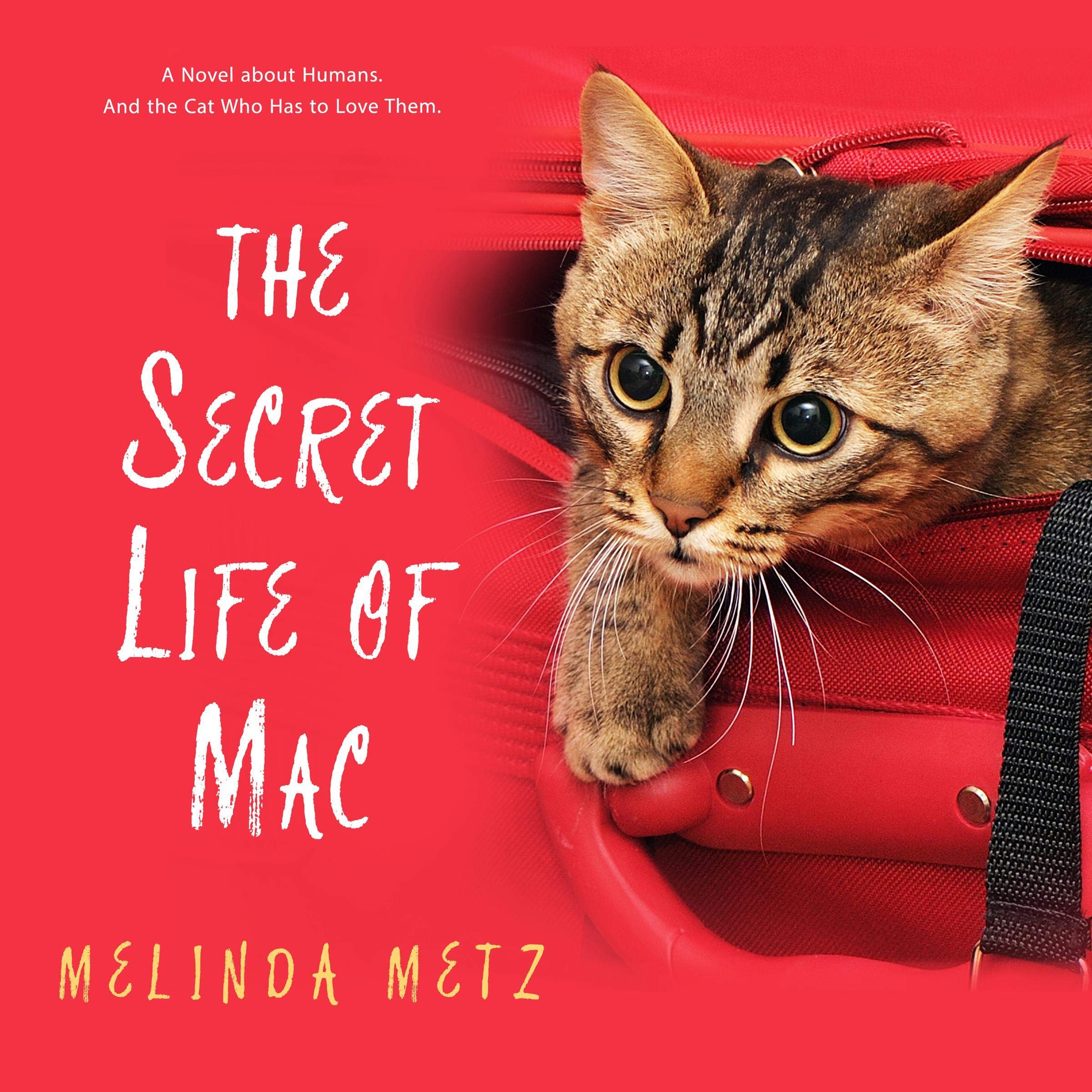 Cover art for The Secret Life of Mac