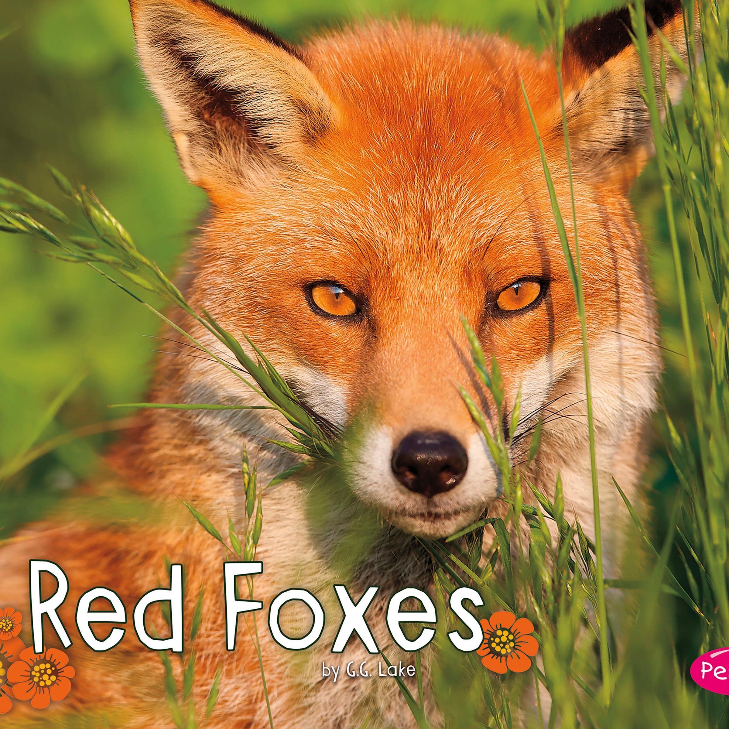 Cover art for Red Foxes