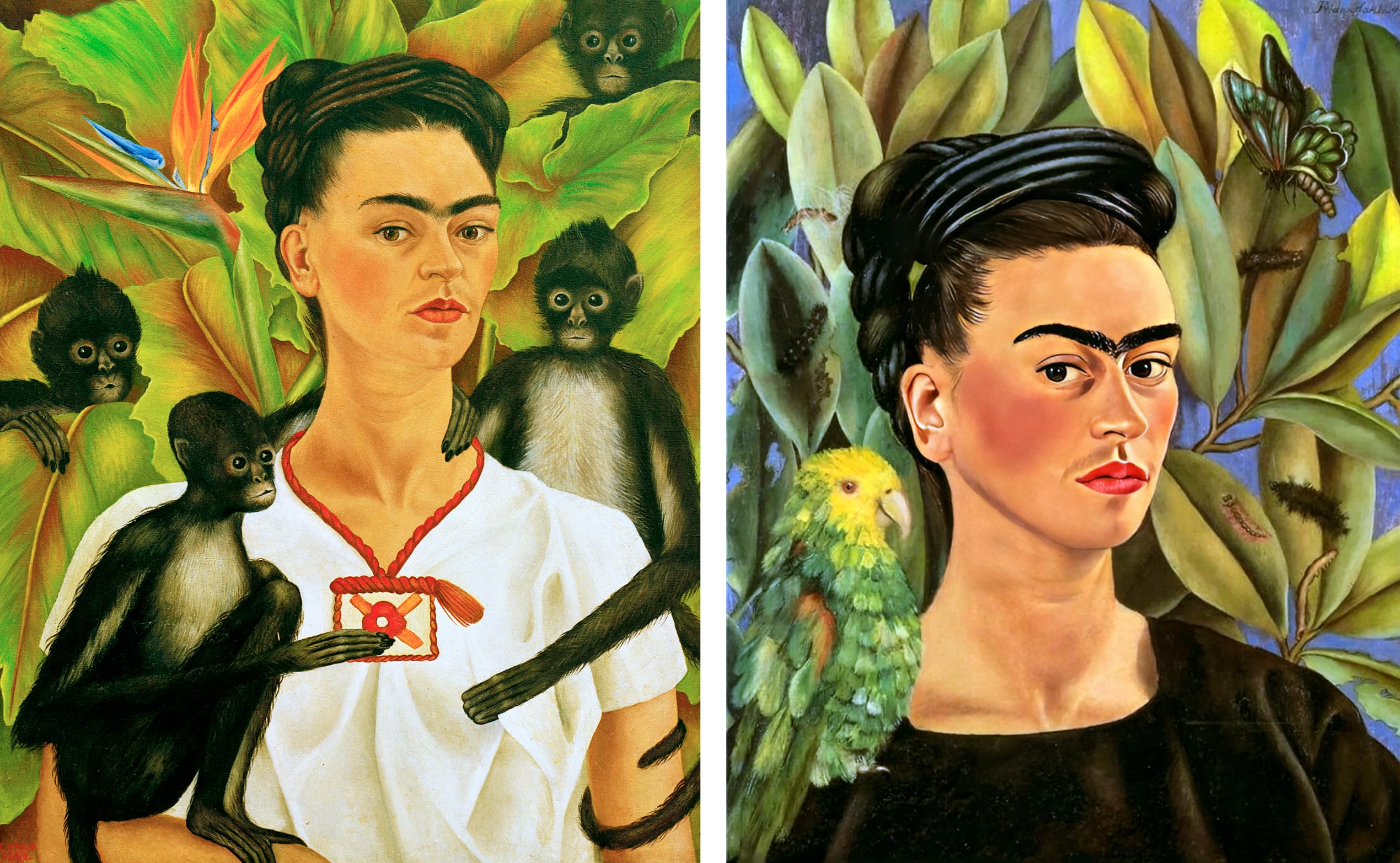 Frida Kahlo. L'art plus grand