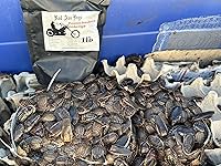 Vista 7 de BadAssBugs™ 2LB Premium Dubia Cucaracha y Cricket Chow