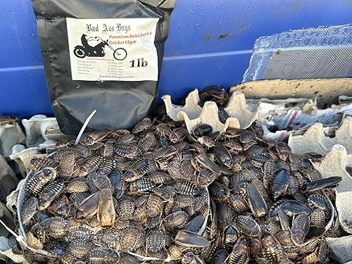 Miniatura 7 de BadAssBugs 2LB Premium Dubia Cucaracha y Cricket Chow