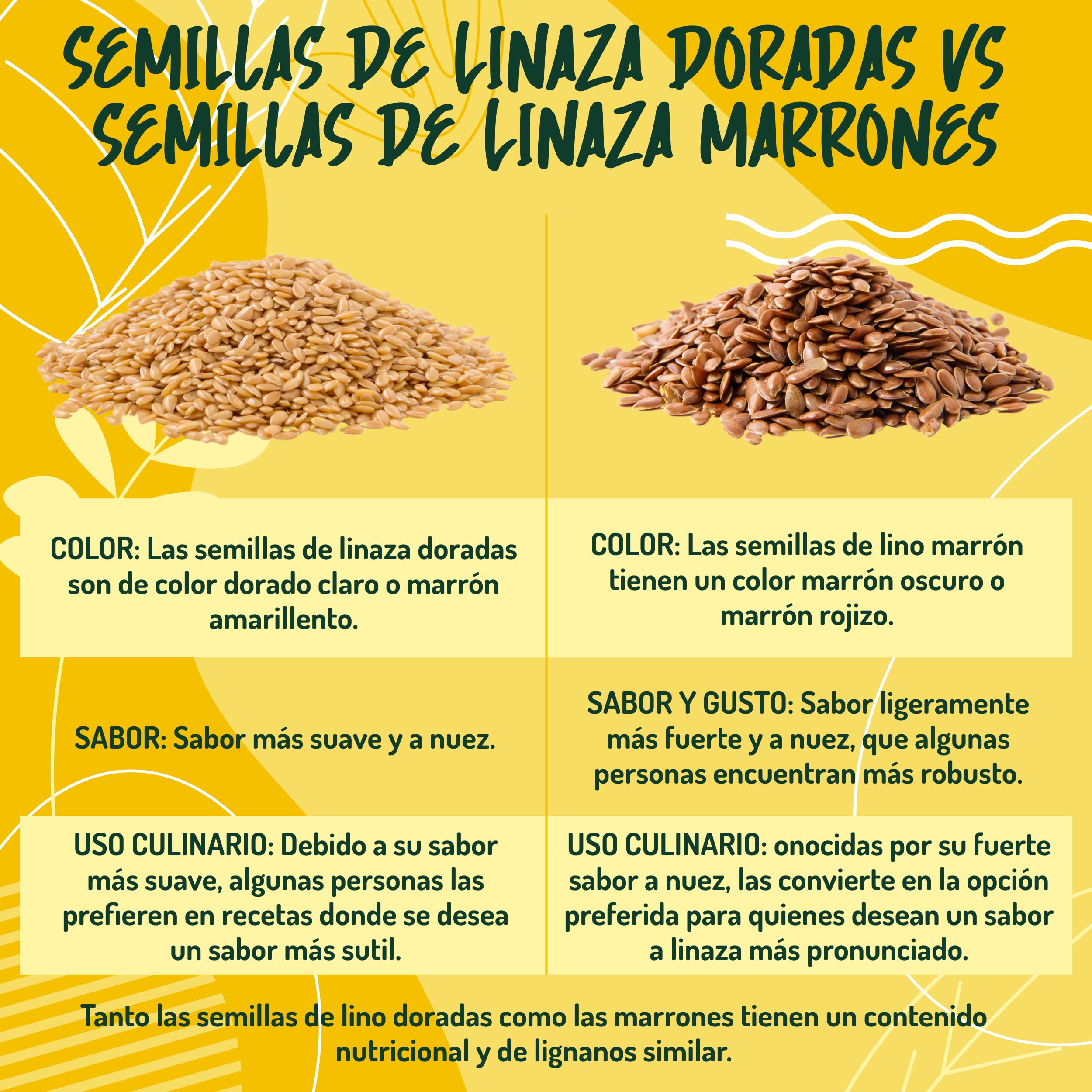 Semillas de Lino Dorado Orgánicas - 500g. Semillas de Linaza Ricas en Fibras Omega 3 y Sales Minerales. Organic Flaxseed.