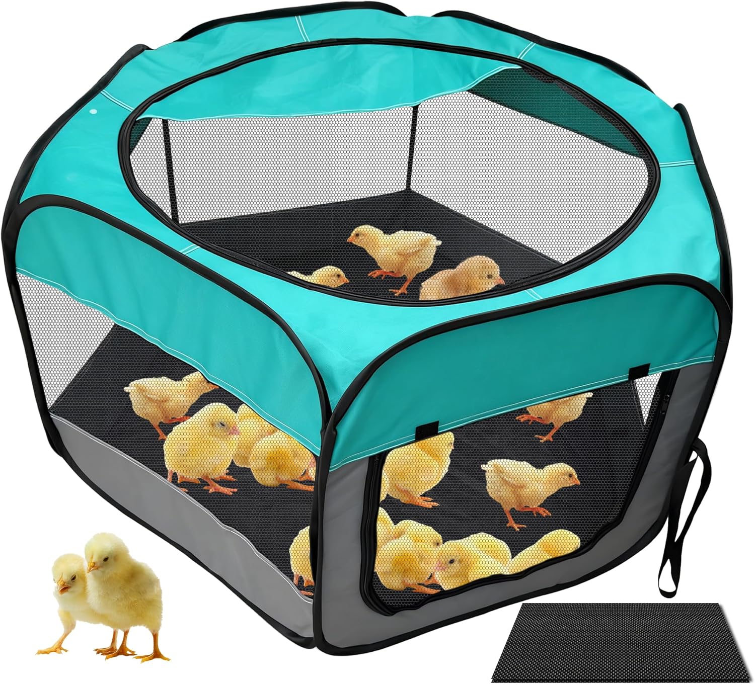 Amazon.com : Chicken Brooder, Chick Brooder Box for Baby Chicks ...