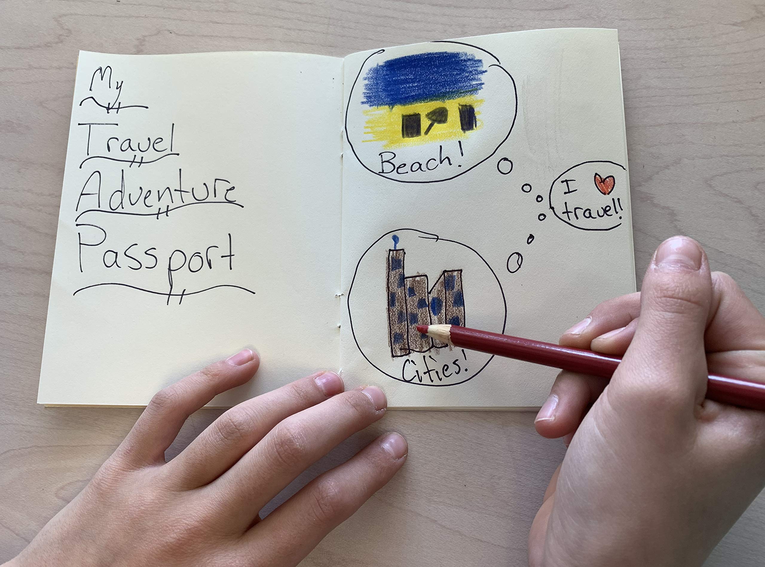 SJPRINTER Cuaderno de pasaporte en blanco | Pequeños pasaportes | Proyectos escolares, regalos de fiesta, juguete de avión, diario de viaje, geografía, estudio social en el aula (solo 18 pasaportes)