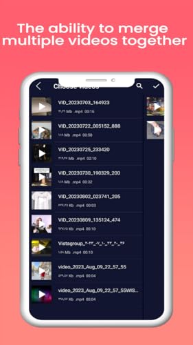 Video editor(advanced)