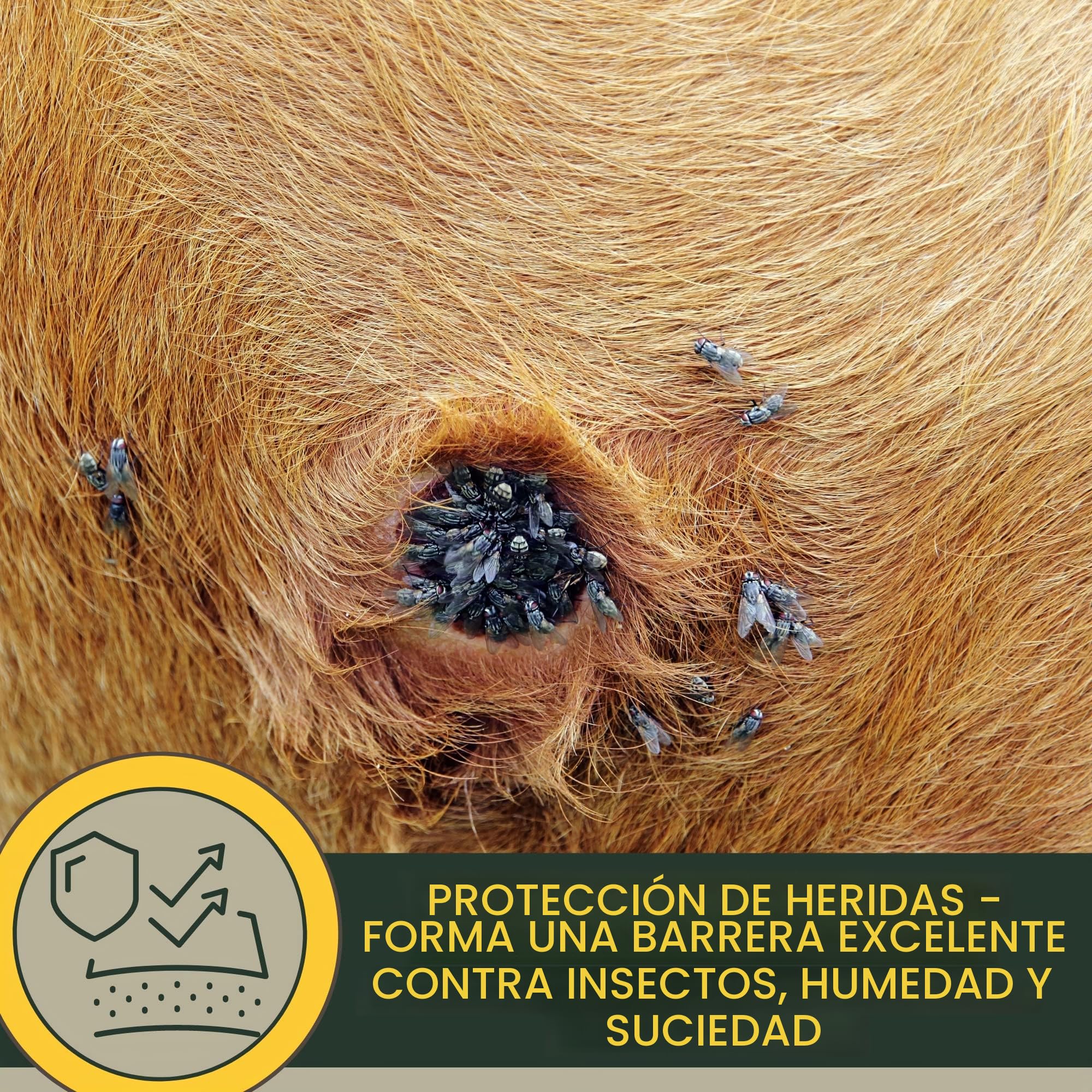 Spray de plata para caballos I Spray protector de heridas para animales I Spray de plata para perros y gatos I Spray de plata de aluminio I Desinfección Yeso en spray I Cuidado y desinfección 2*200ml