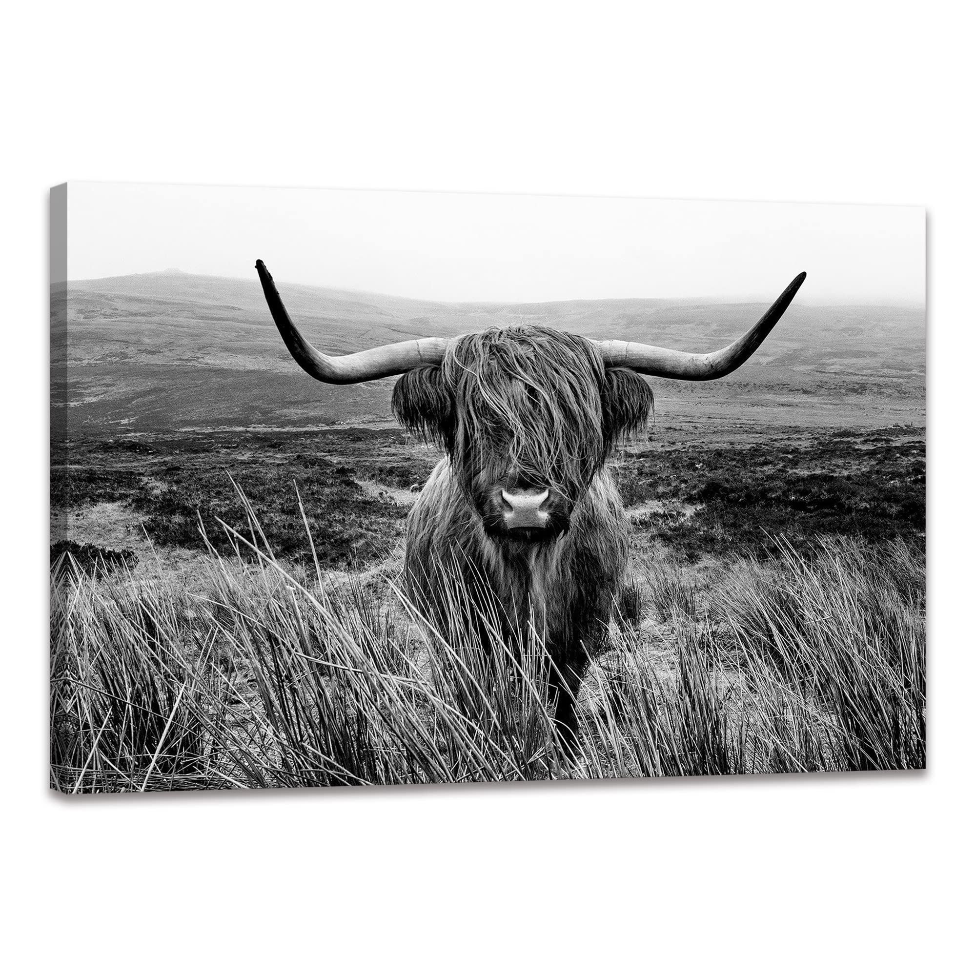 Highland Cow Wall Art Canvas Black and White Artwork Canvas Picture Highland Cow Prints Paintings Wall Decor Framed for Living Room Bathroom (24x36 inch)