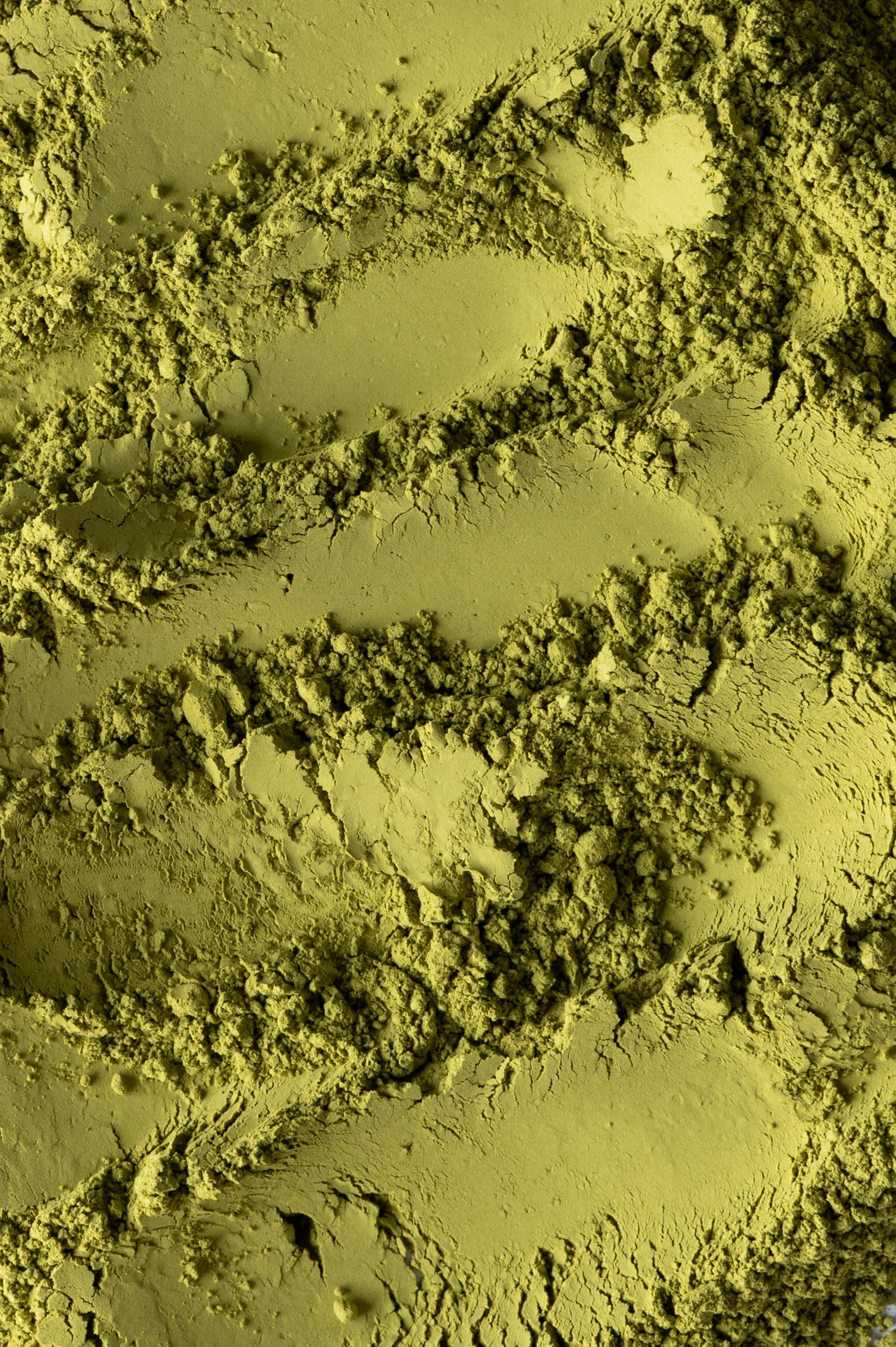Biojoy Matcha in Polvere BIO (250 g), Per Tè e Latte (Camellia Sinensis)