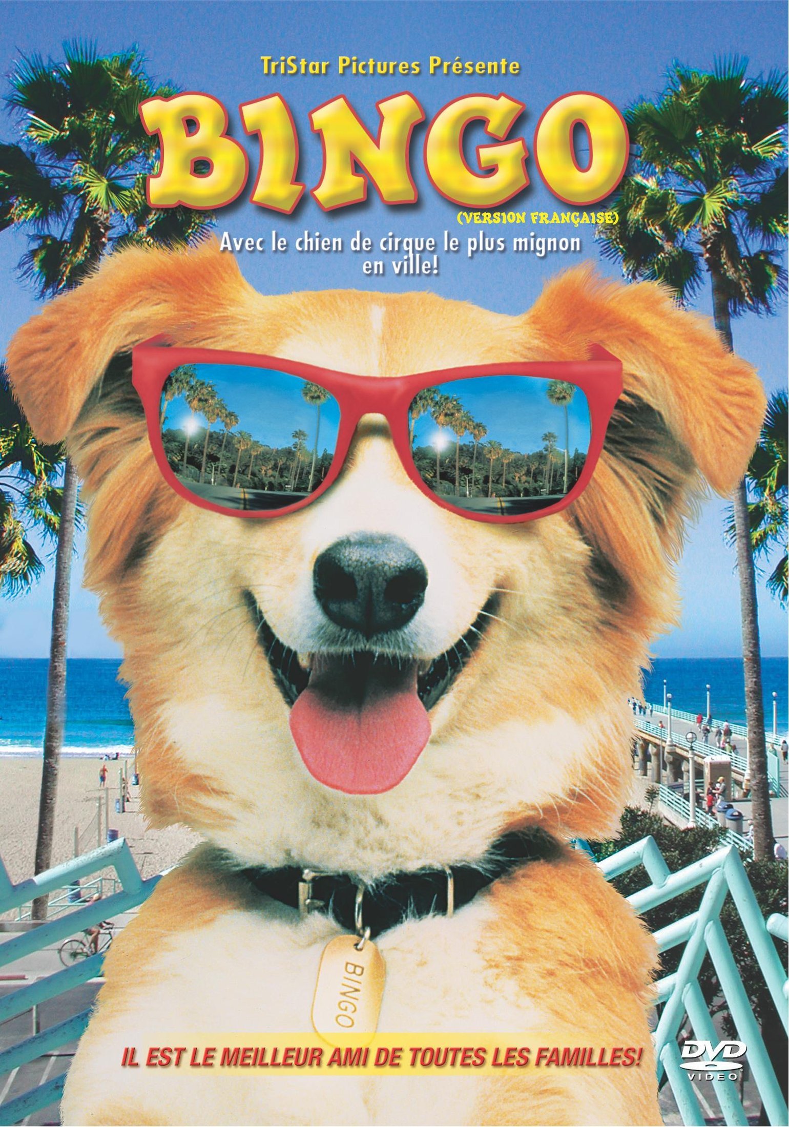 Bingo French (Bilingual) [DVD]