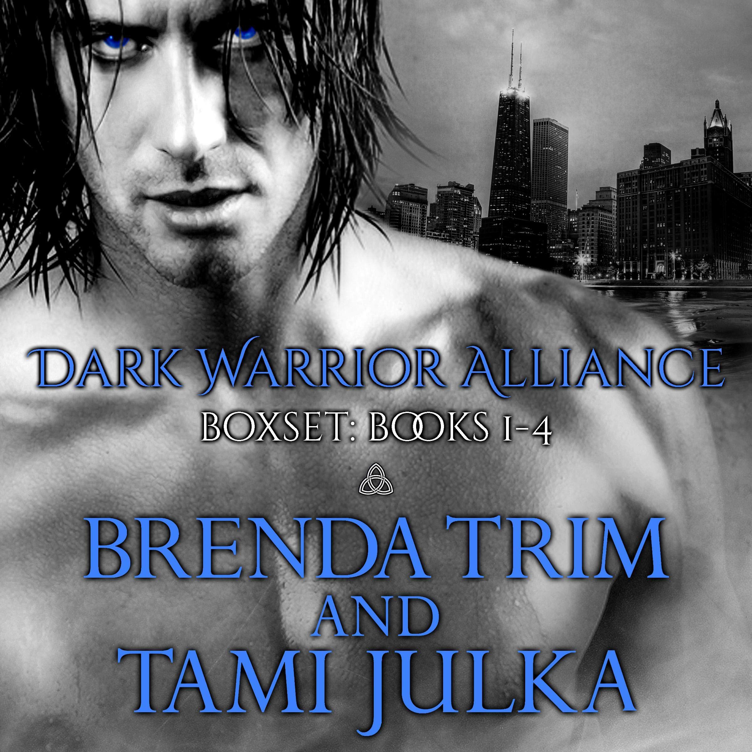 Cover art for Dark Warrior Alliance Boxset