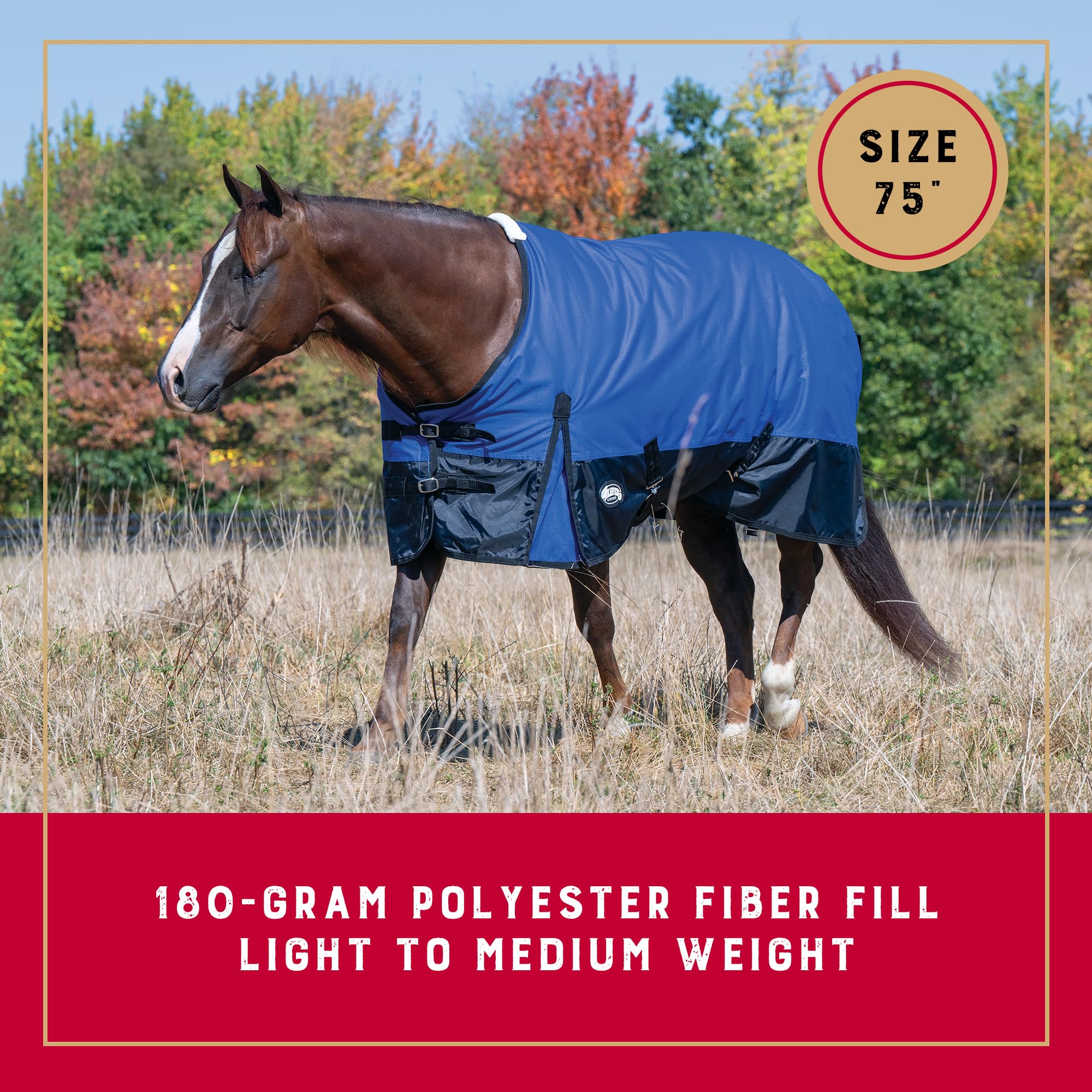 Weaver Leather Manta para Caballo Unisex para Adultos, Azul, 75 Pulgadas