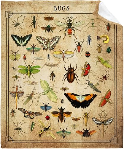 Manta de bebé vintage de bichos, súper suave, manta acogedora para recién nacido, manta de recepción para bebé, manta para cuna, 40 x 30 pulgadas