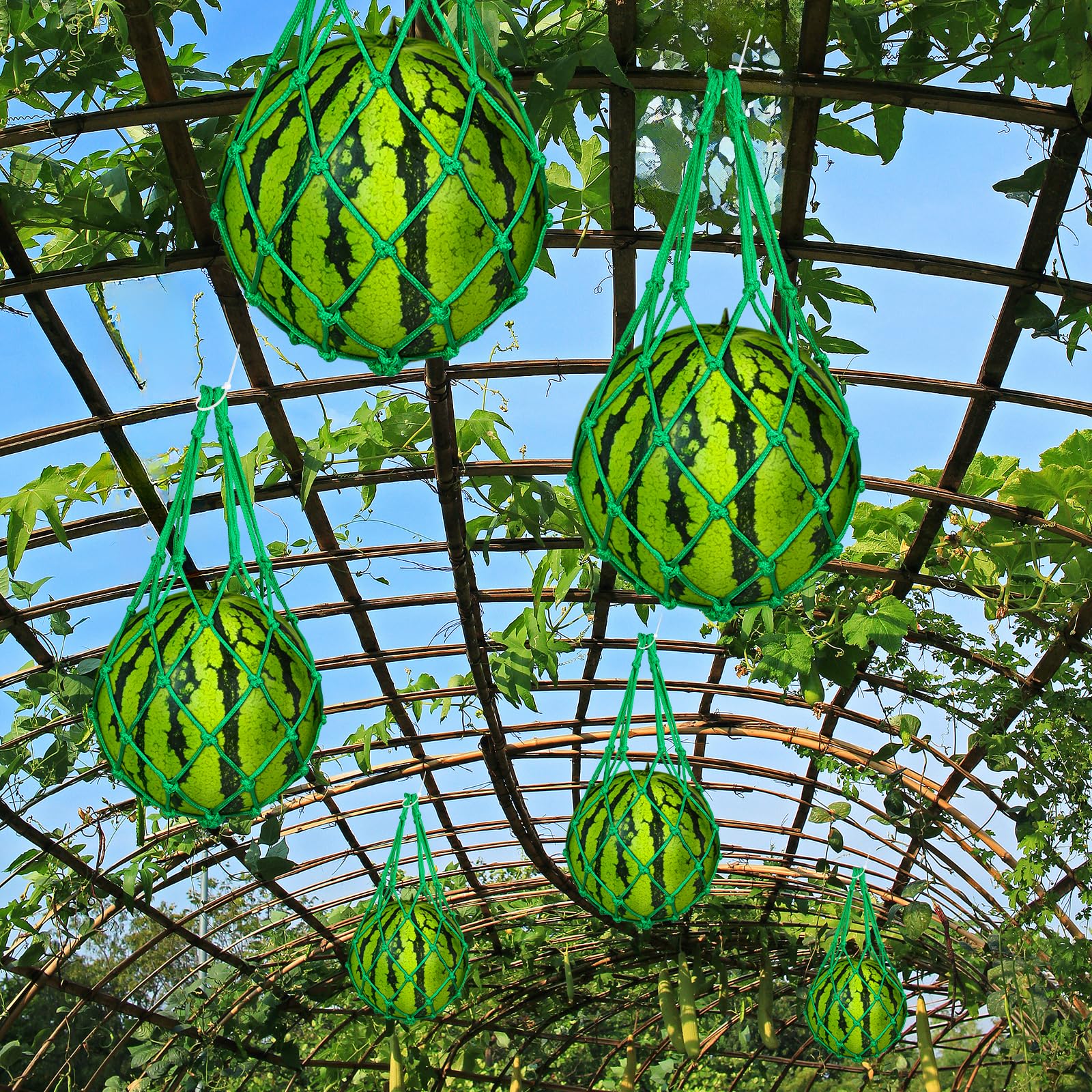 Amazon.com : yuuzue 12 Pcs Watermelon Net with 30 Cable Zip Ties