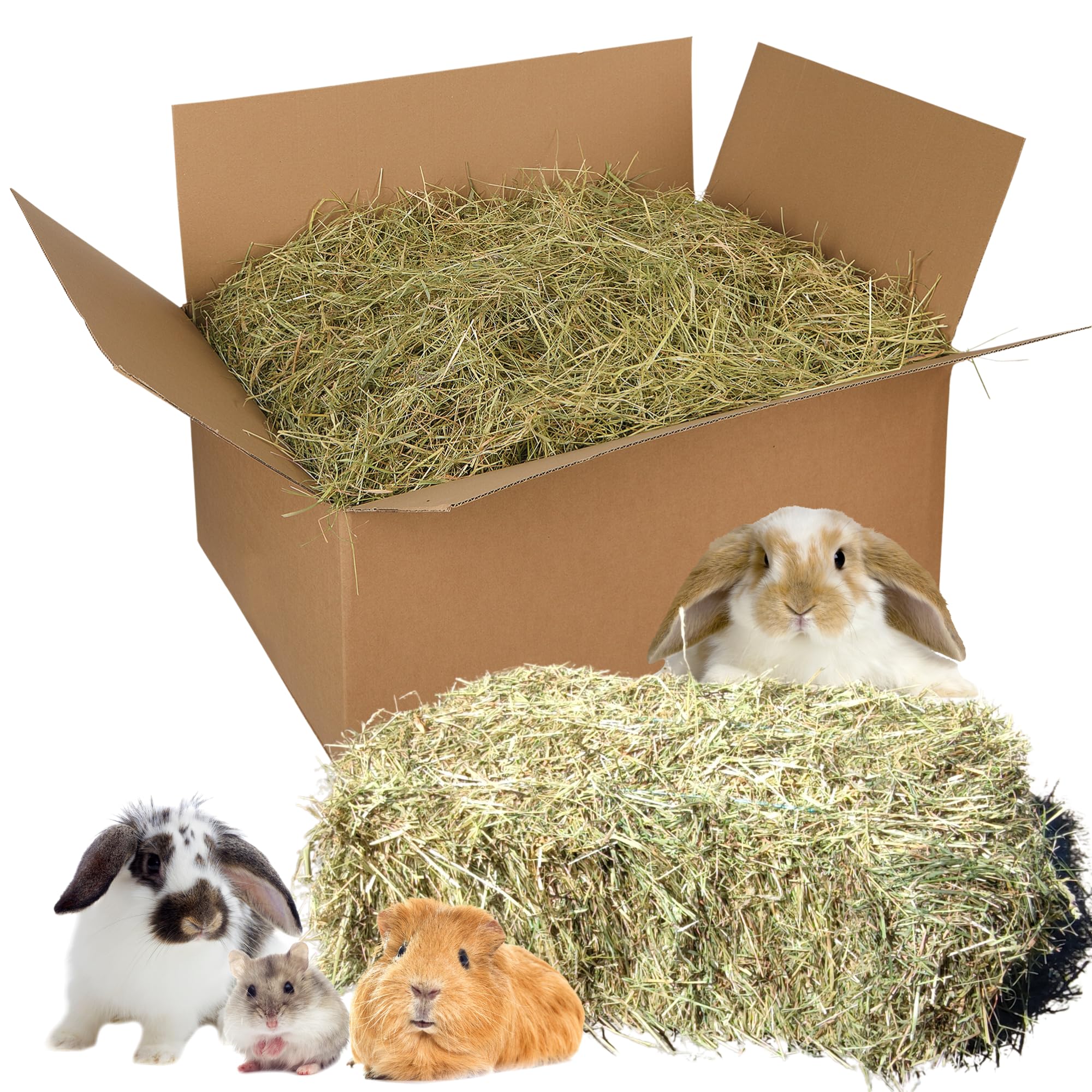 Natursache I frisches Heu aus Bioanbau - Gesunde Nahrung & Einstreu für Kaninchen, Meerschweinchen & Nager. Staubarm. Ideal für die Heuraufe