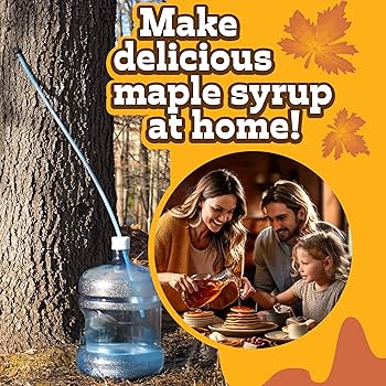 Maple Syrup Tapping Kit Stainless Steel Maple Tree Taps Spiles Easy To Use Maple Syrup Supplies Maple Tree Tapping Kit For Making Maple Syrup Shopskc9679 I.60431309