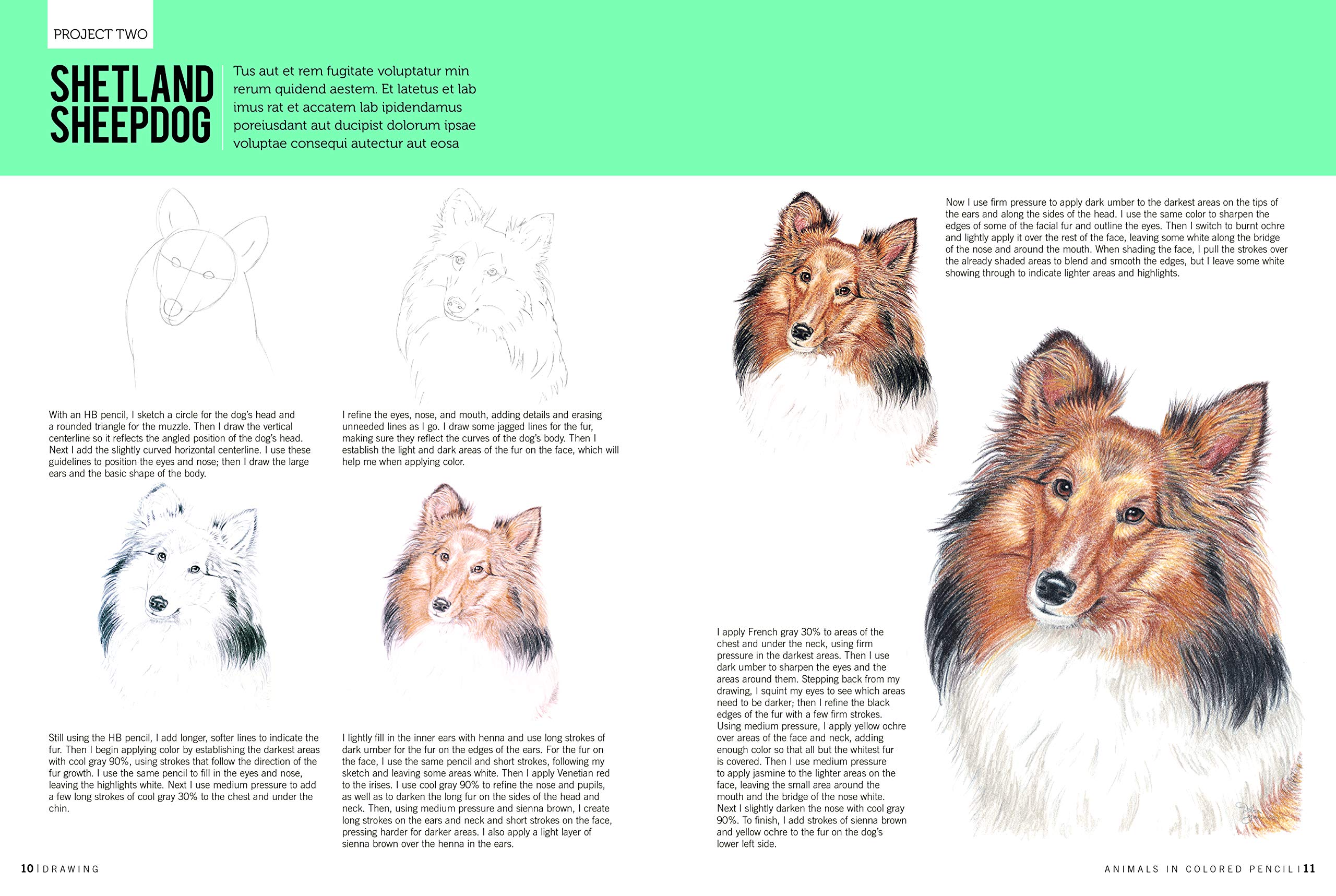 Drawing: Animals in Colored Pencil: Learn to Draw with Colored Pencil Step by Step