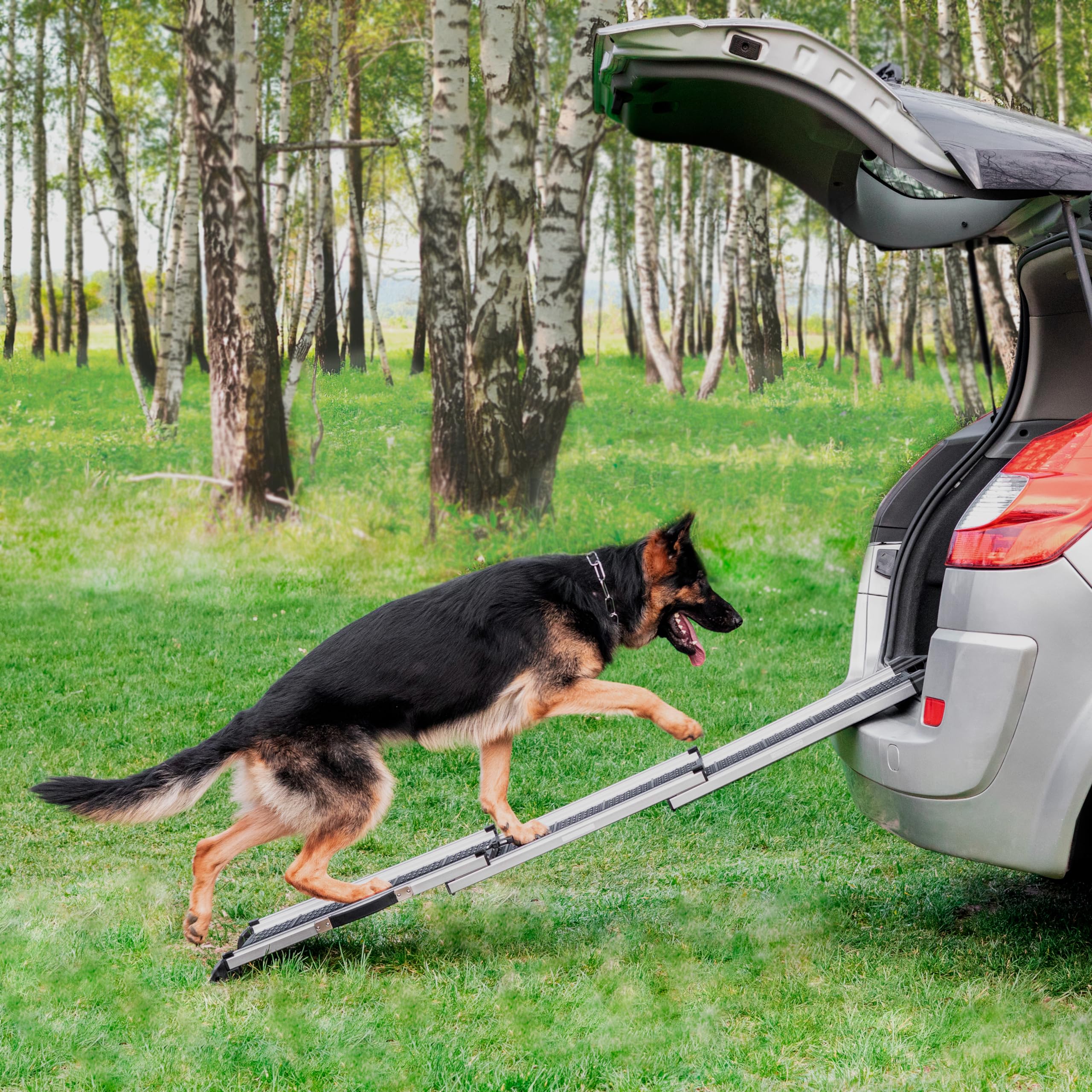 Rampa per Cani per Auto, SUV – Rampe Telescopiche Estensibili per Cani di Grossa Taglia – STABILI – ANTISCIVOLO – Sicurezza Notturna Lati Riflettenti – Capacità 90 kg – Clip di Bloccaggio – Nero