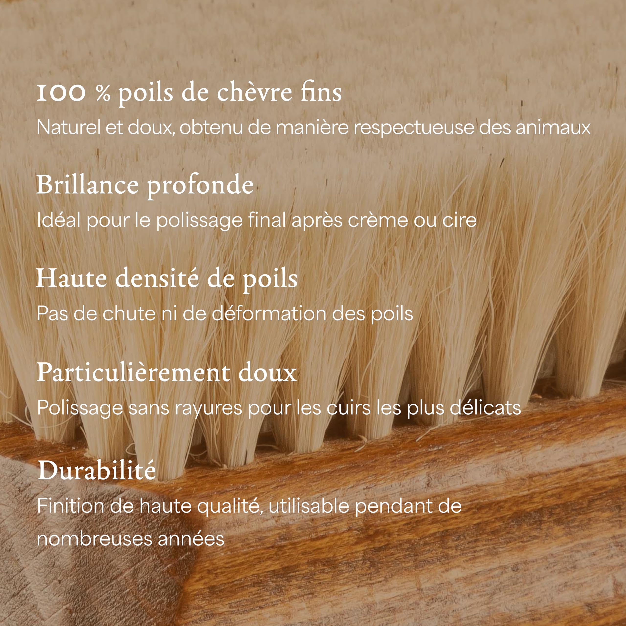 Langer & Messmer Brosse à Chaussures en Poils de Chèvre Fins - Polir et Entretien des Chaussures - Brosse à Cirer en Qualité Cordonnier