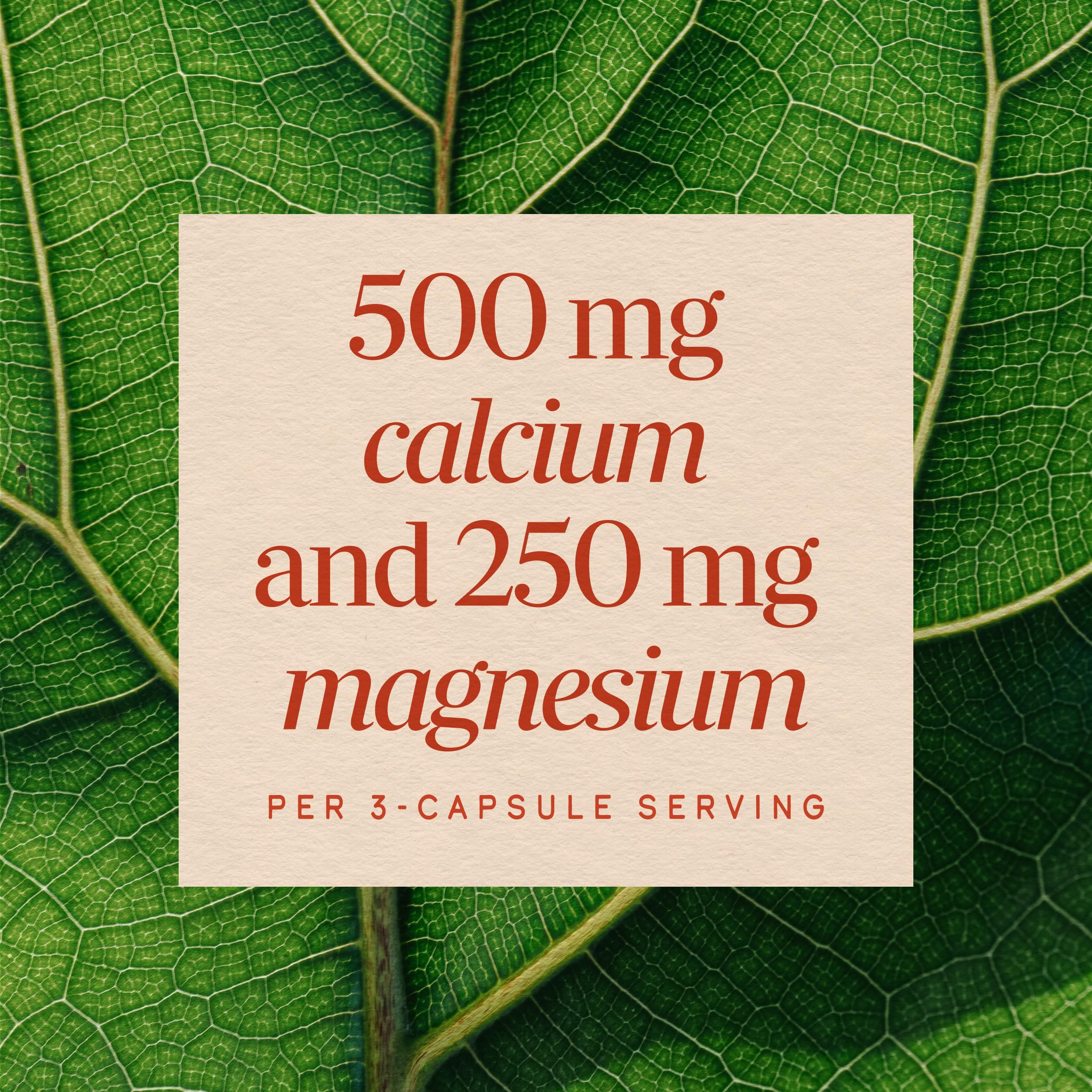 Nature's Way Calcium & Magnesium Mineral Complex, Daily Supplement, 250 ct — Amazon image 4