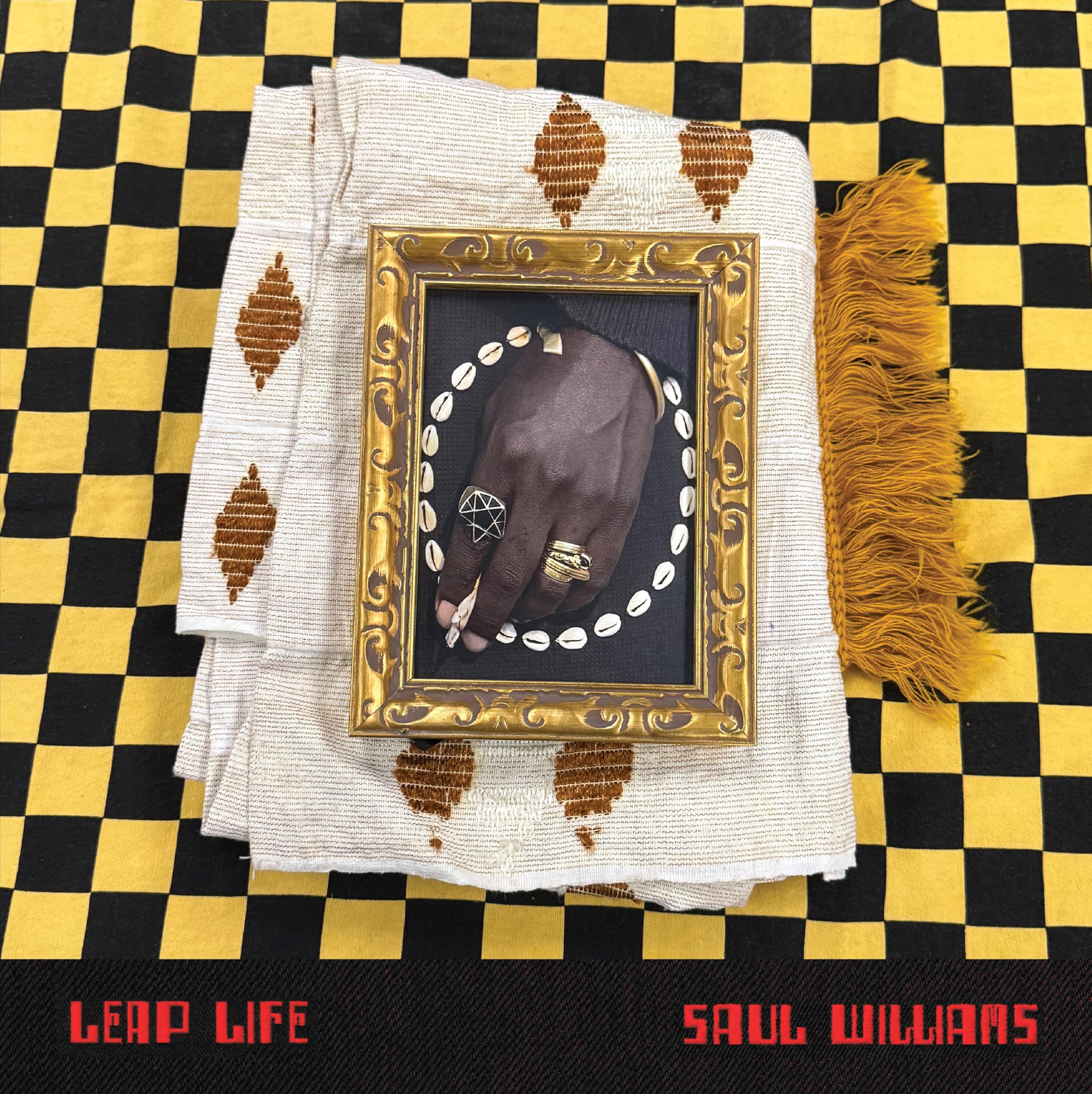 Saul Williams - Leap Life (Ninja Tune) CD Album - Pre-sale