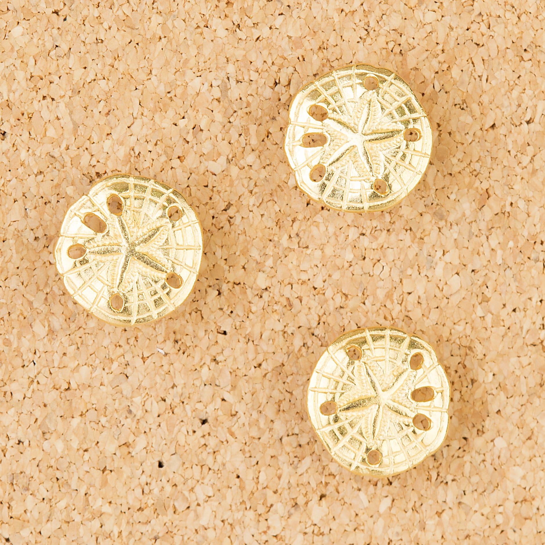 Sand Dollar Push Pin