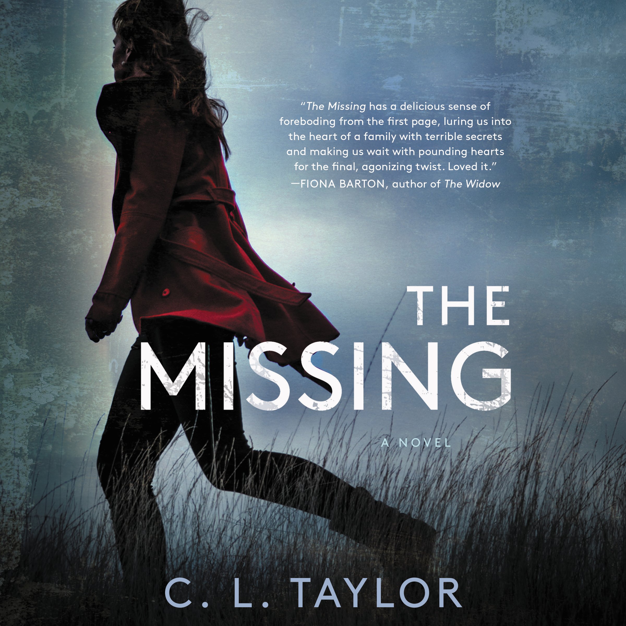 Cover art for The Missing