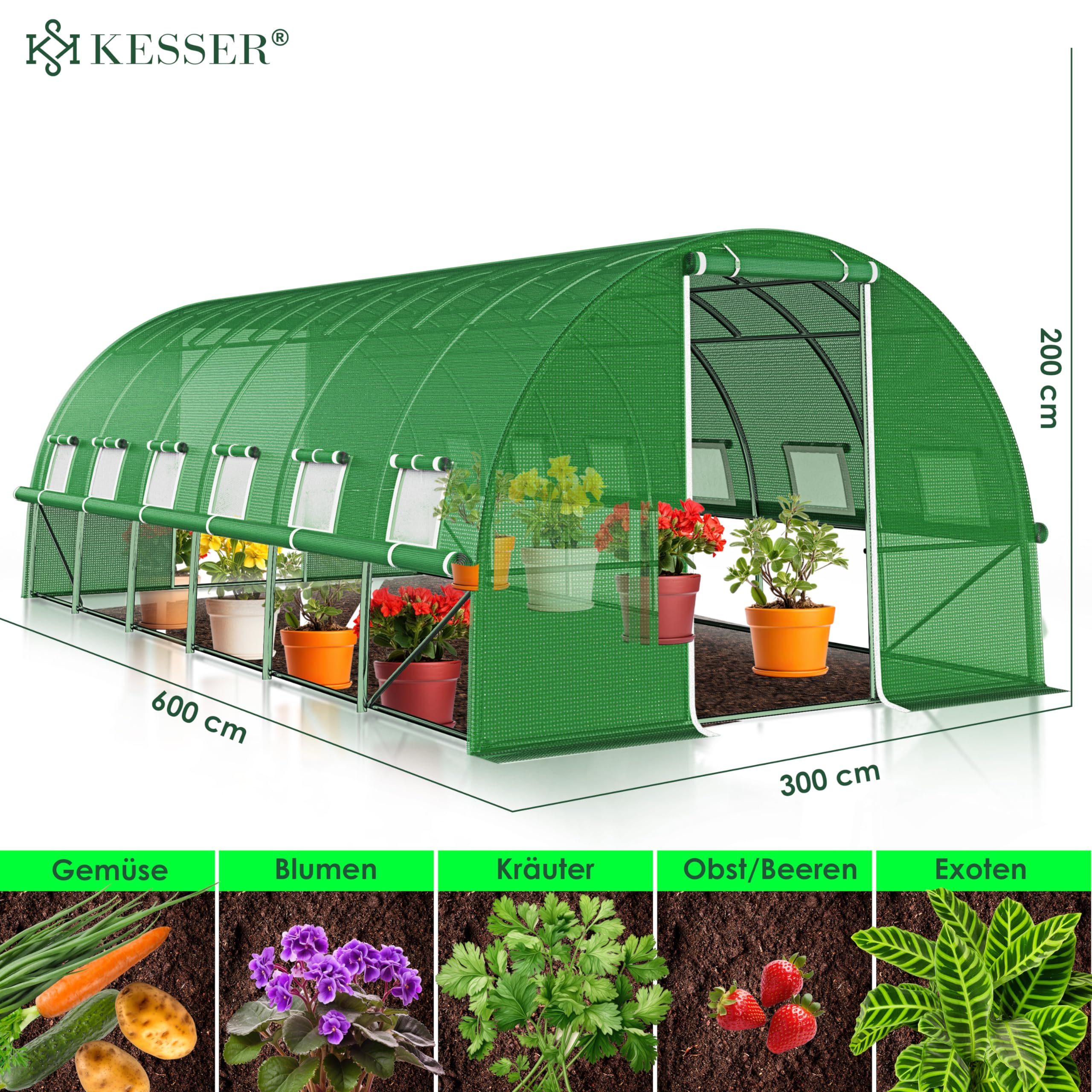 KESSER® Serra stabile con 12 finestre con zanzariera e porta, tunnel da giardino con telaio in acciaio zincato, 170 g/m², con guanti e corde, 600 x 300 cm, verde