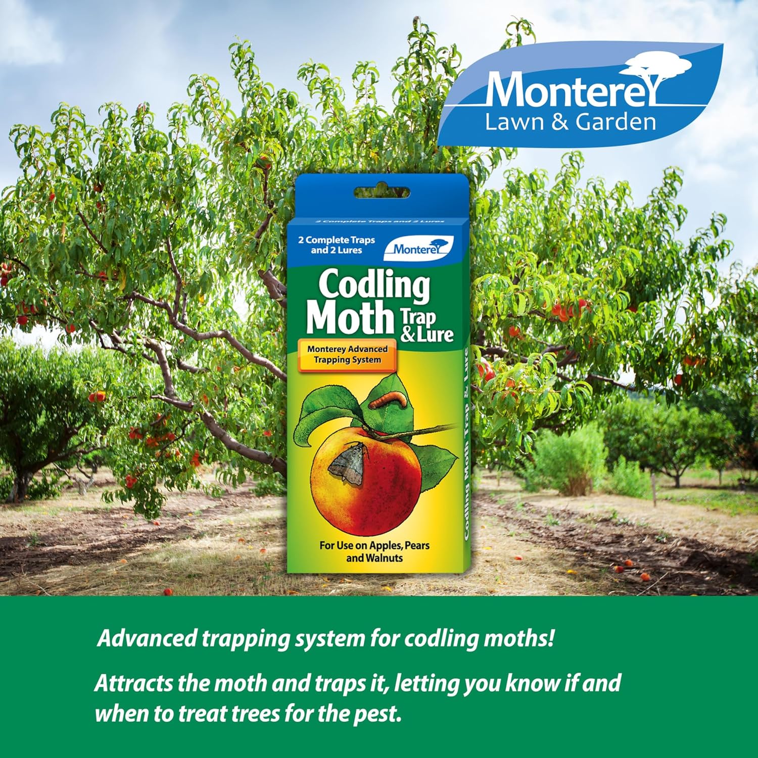 Monterey Codling Moth Trap & Lure - 2 Traps/2 Lures