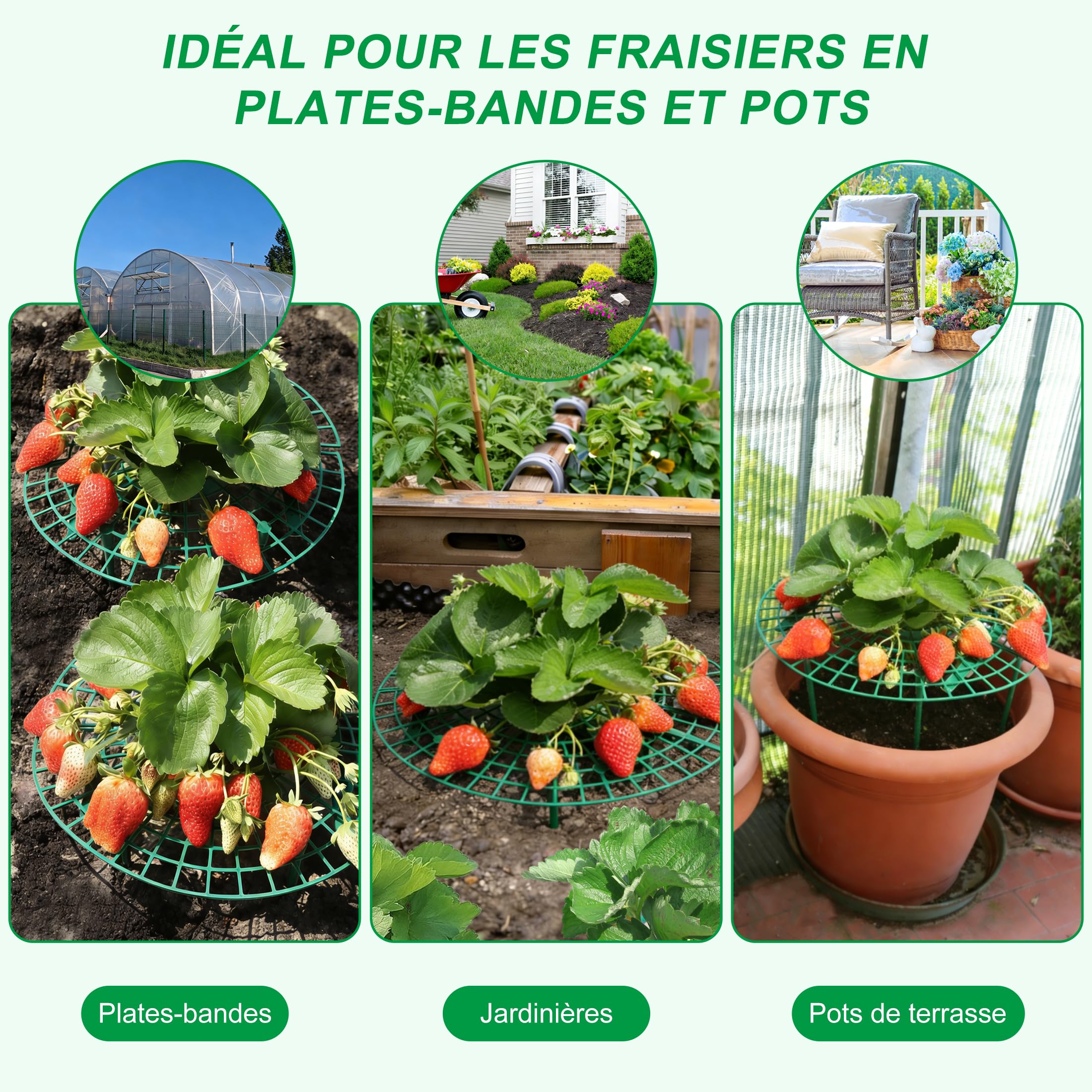 Support pour Plants de Fraises CNNIK, 10 Supports Ronds en Paquet pour Garder Les Baies Hors du Sol, Supports de Jardin réutilisables pour la Culture de Fraises en Plein air
