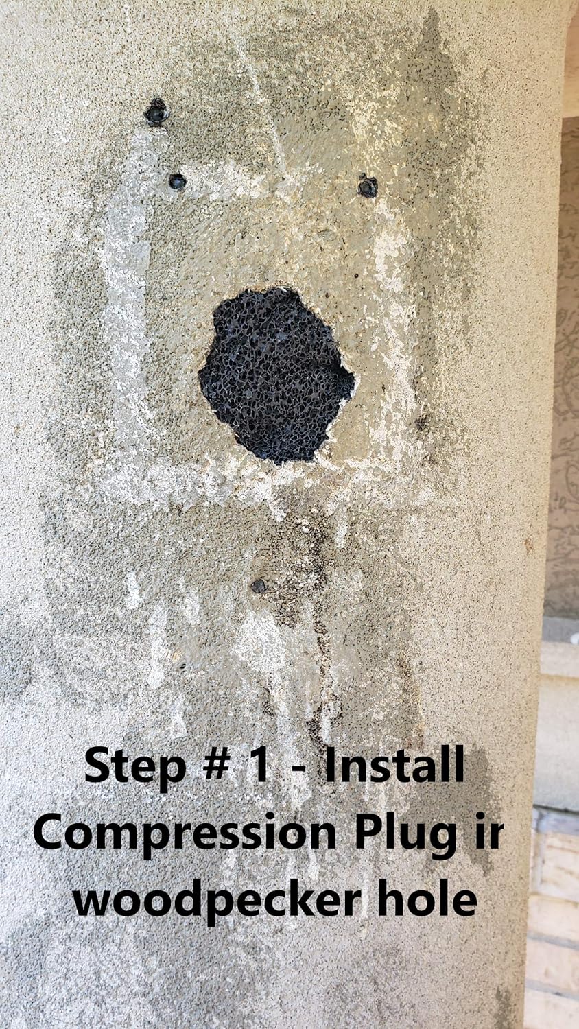 EIFS Stucco Woodpecker Damage Repair Kit