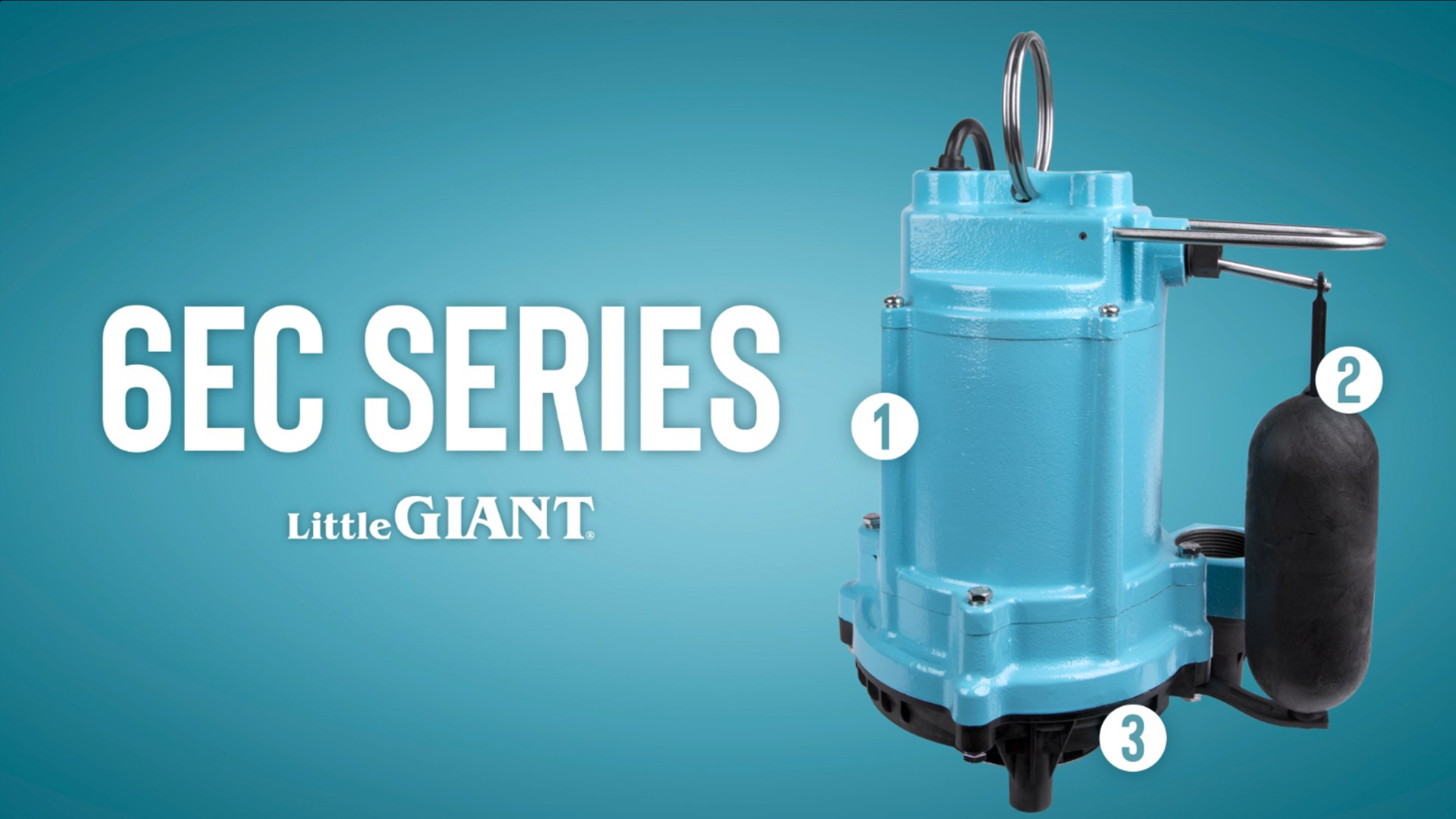 Little Giant 6EC-CIA-SFS 1/3 HP, 115-Volt, 3180 GPH Automatic Cast